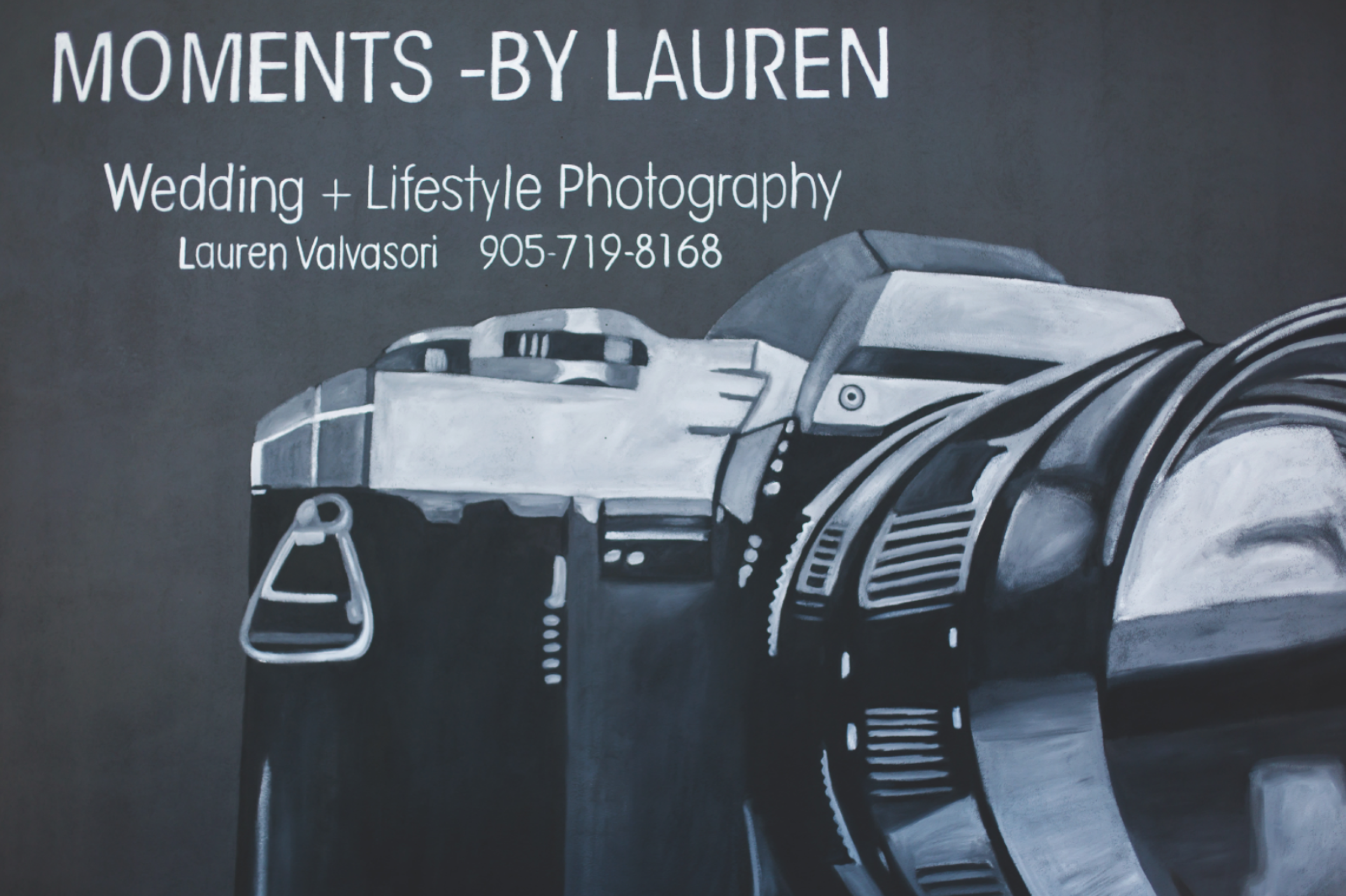 Moments-by-Lauren-Camera-Mural-Claire-Hall-Design-Photo-8.png
