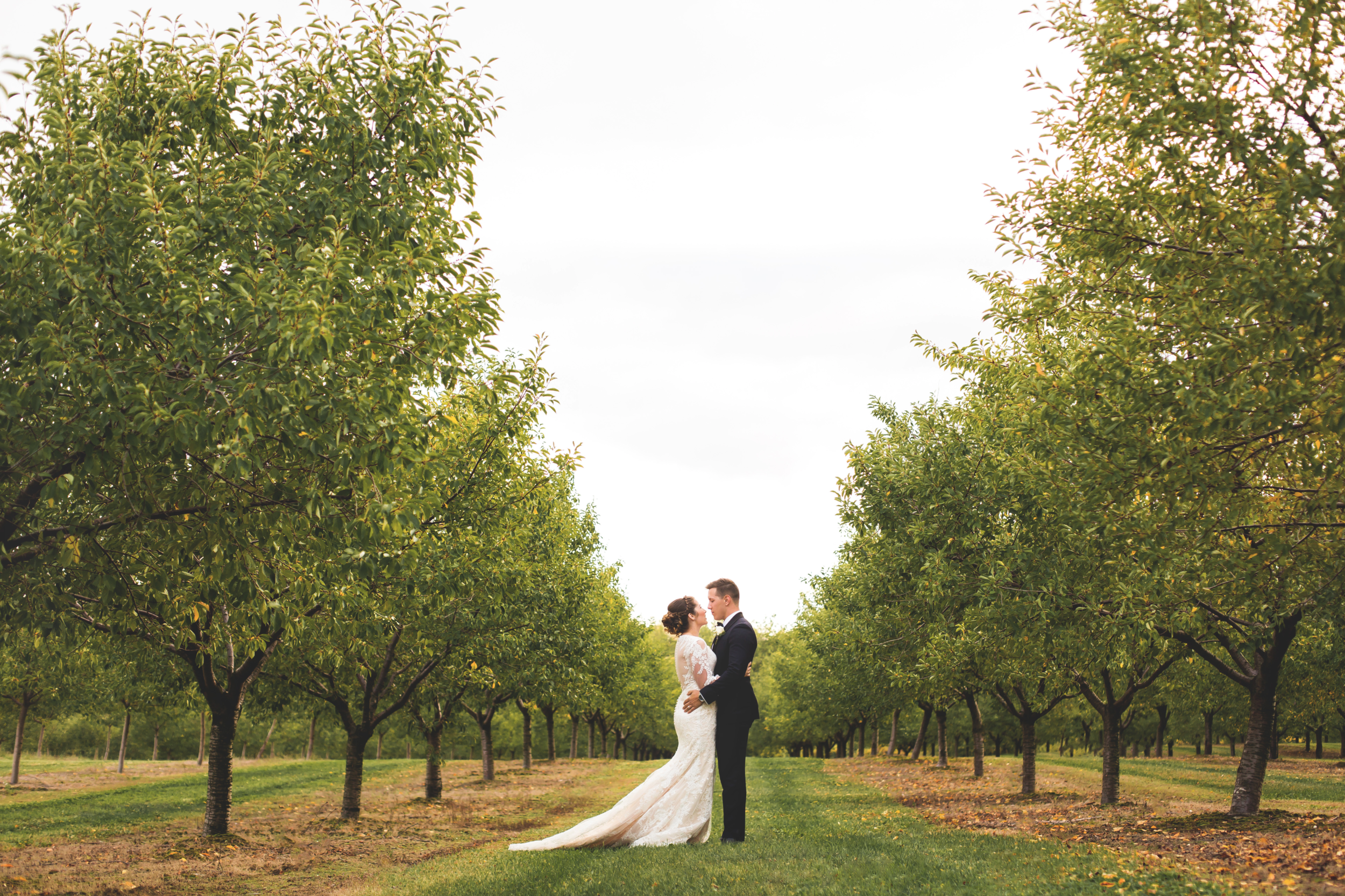 Wedding-Photos-Mount-Pleasant-Farm-Photographer-Wedding-Hamilton-GTA-Niagara-Oakville-Toronto-Moments-by-Lauren-Photography-Photo-Image-26.png
