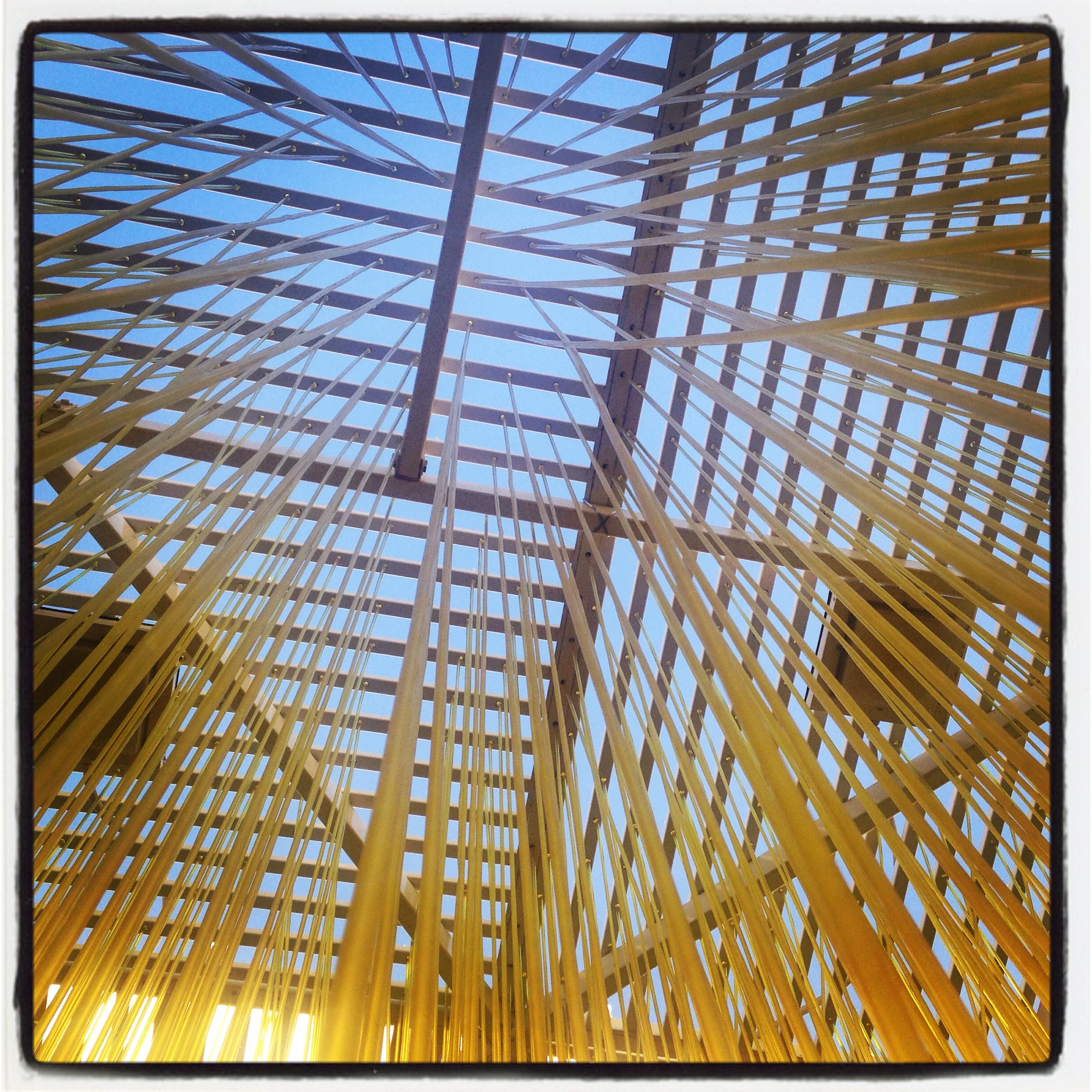 Complicated (poem a day challenge - 11/21/15)