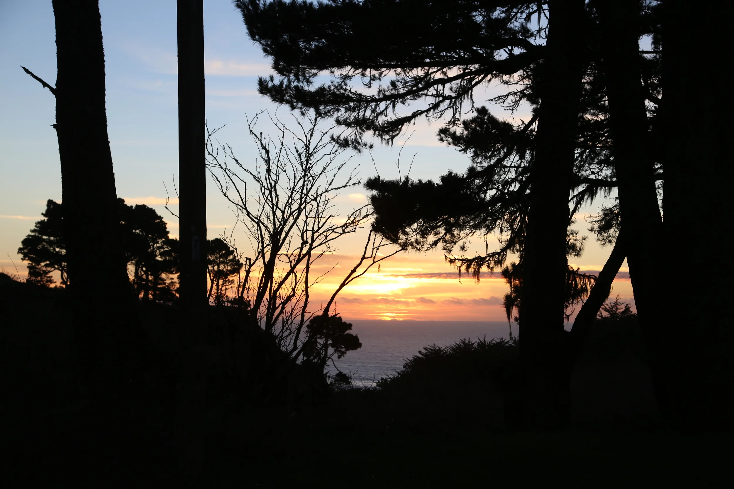 Moms everywhere I salute you!