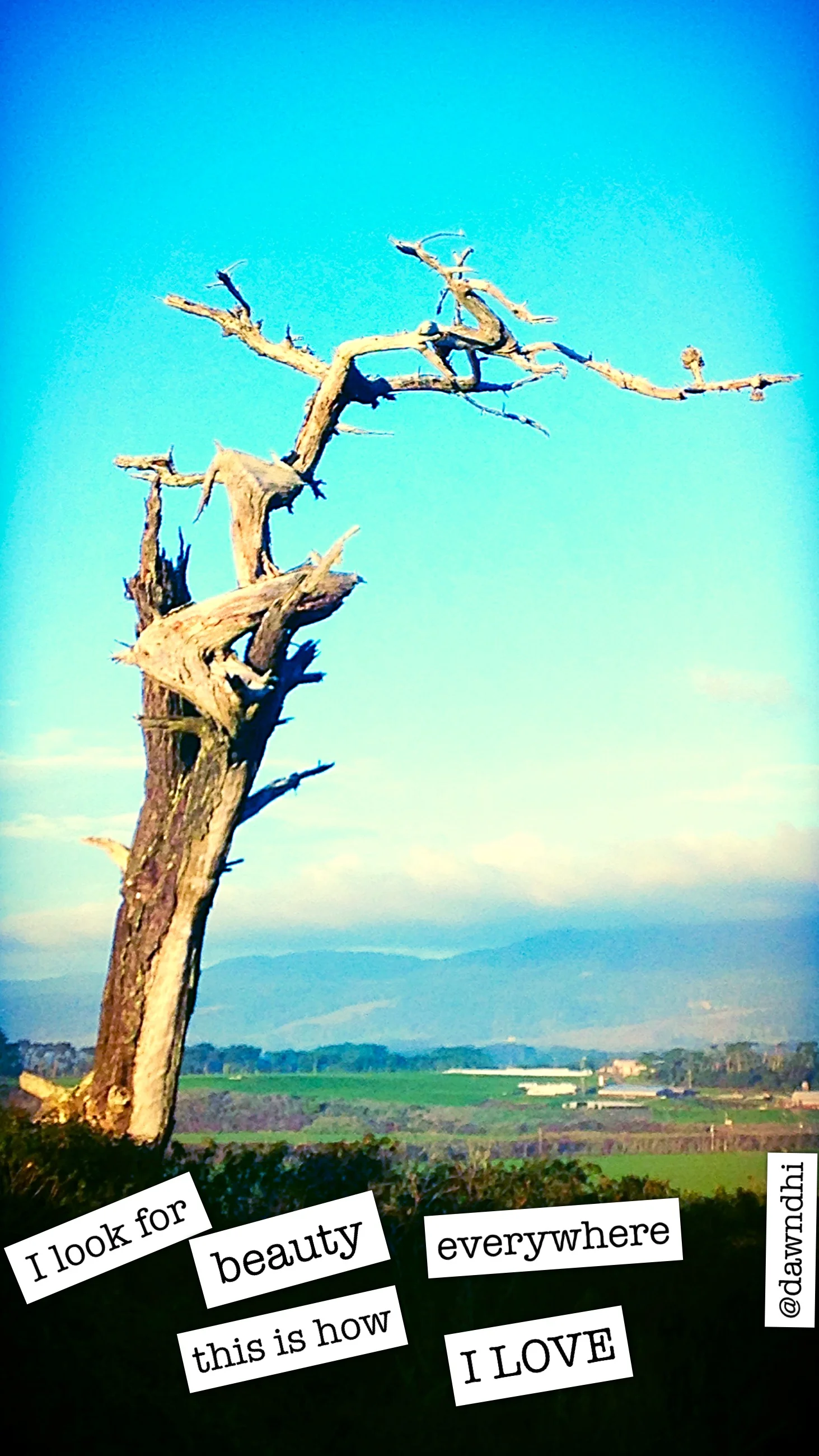 This Is How I LOVE Series