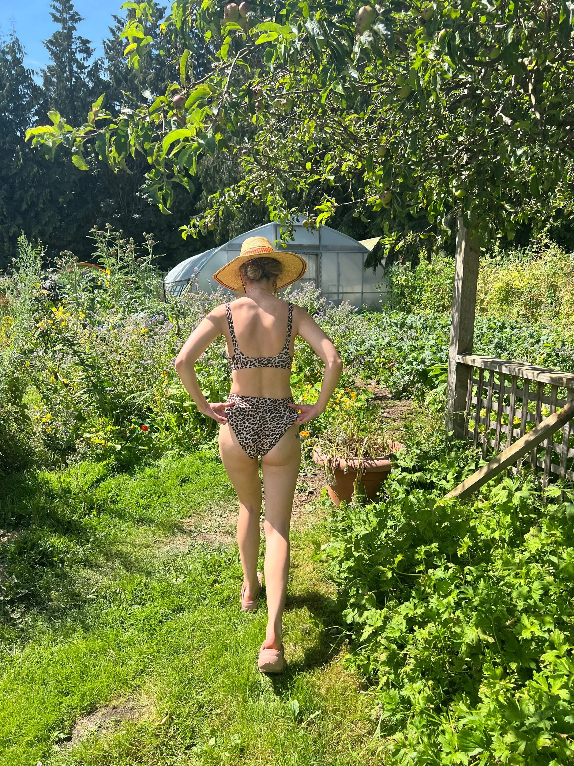 4CFB8ED5-2B70-4E97-AB58-FEBAE3D63467