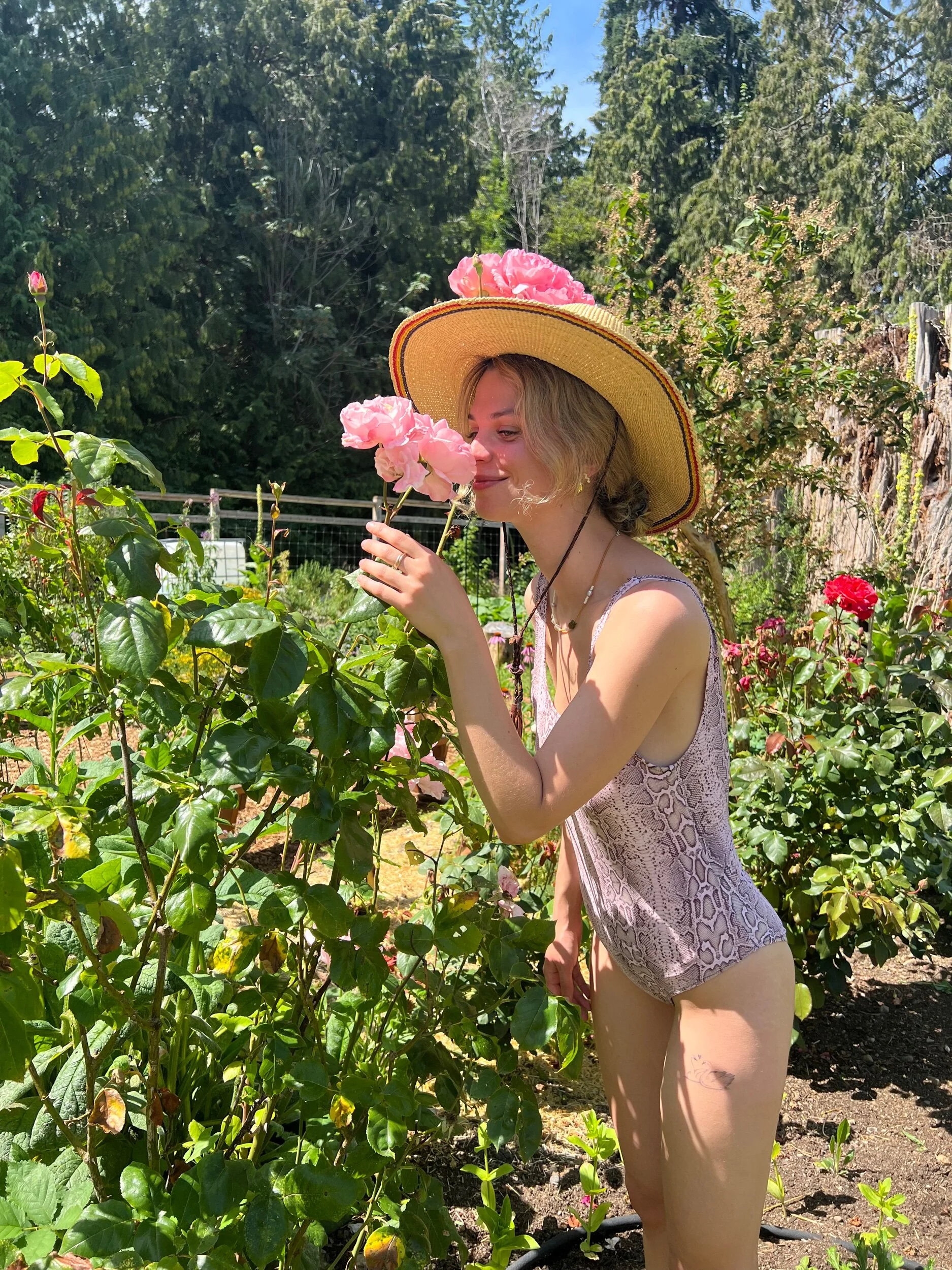 8321D0A5-042D-42F6-9A36-28F42705DA1C