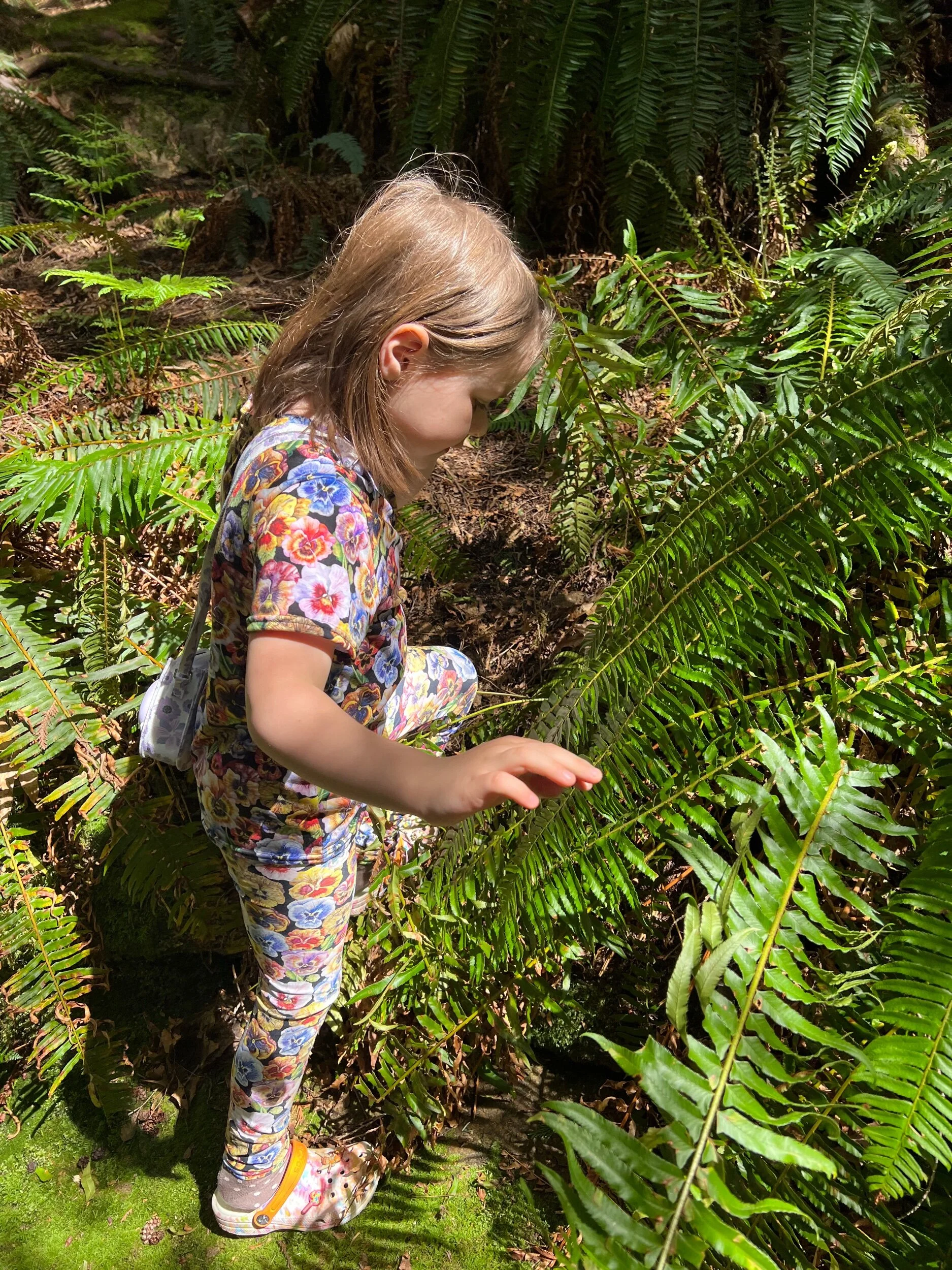 43E37B99-D792-469B-ABFF-E8328C3E3245