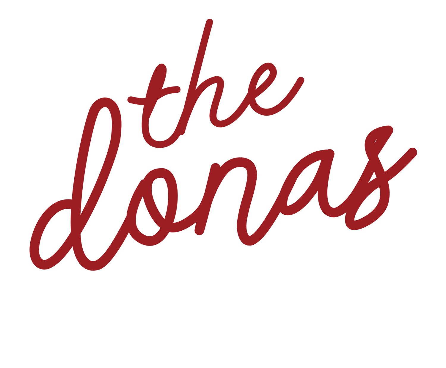 New Moon In Virgo Ground Lay Foundations Fix The Cracks The Donas