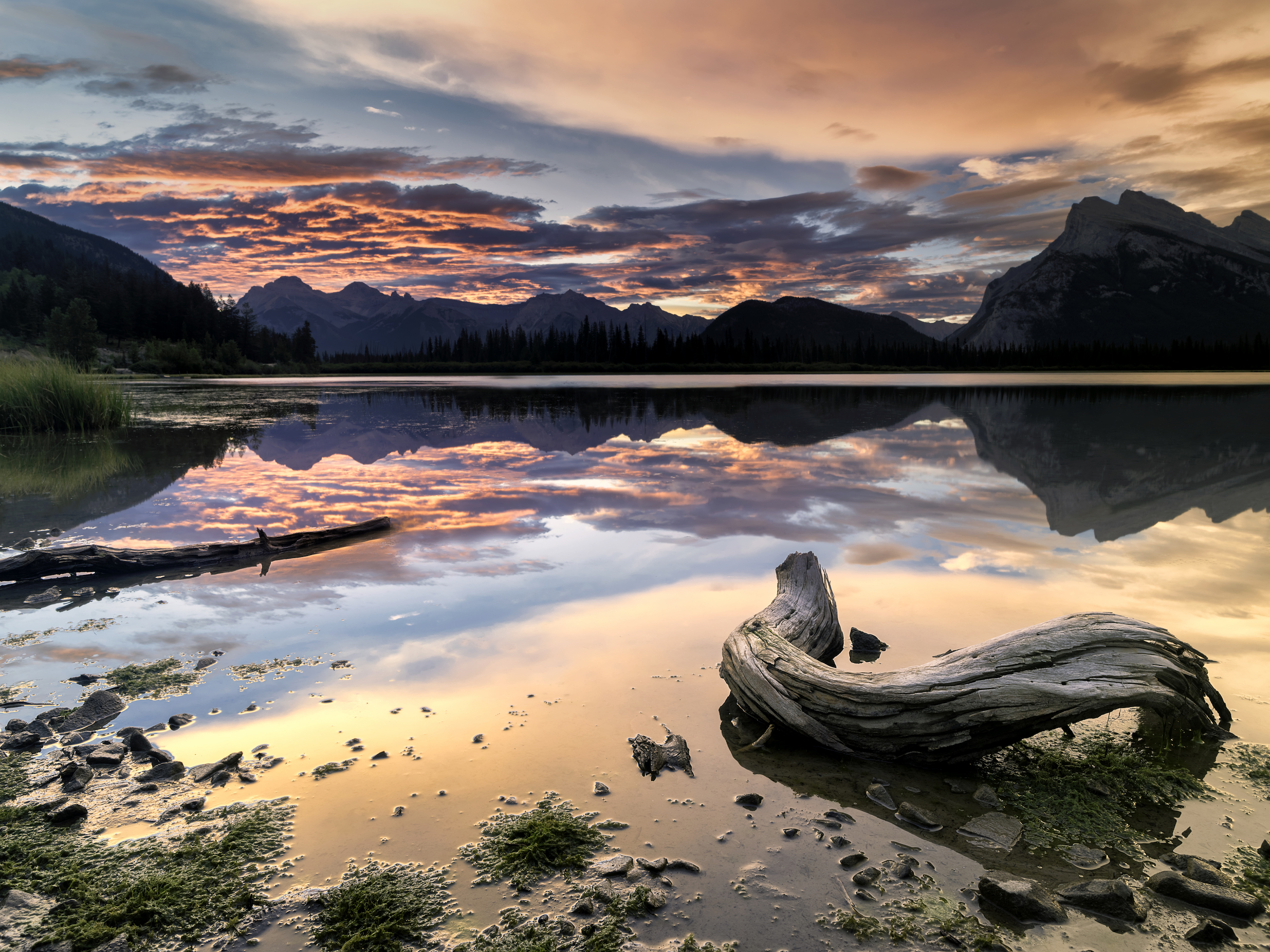 Vermillion Lakes Banff National Park Alberta CA