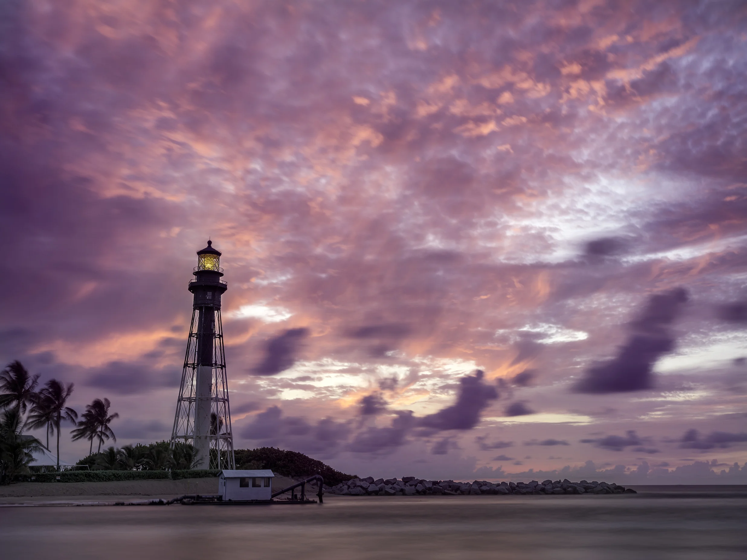 Purple Sunrise