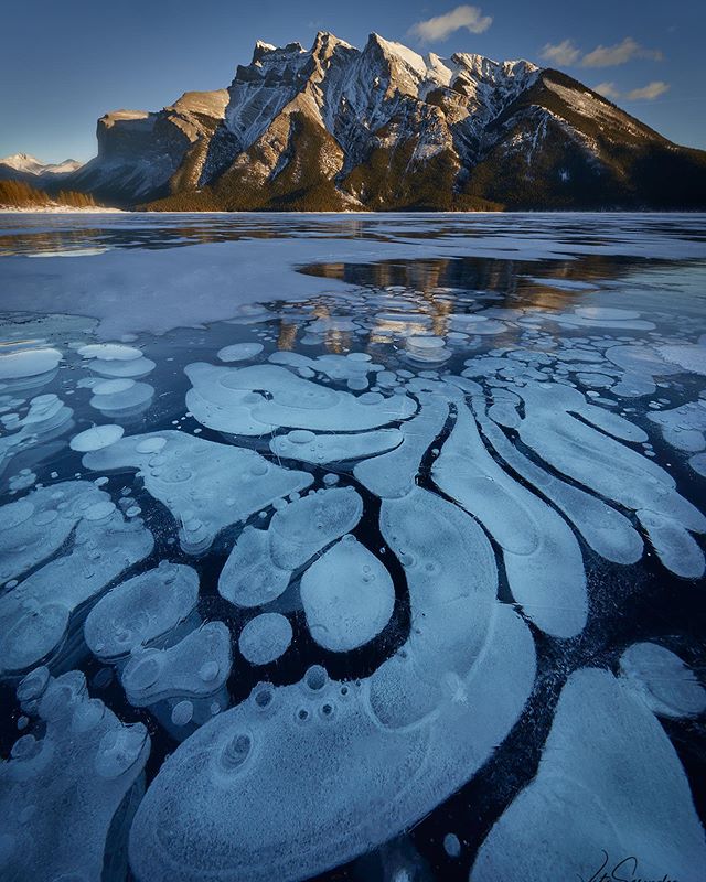 Missing the cold weather up in Banff and of course Ice Bubbles !  #icebubbles #banffnationalpark #banff #banffalberta #alberta #landscape_capture