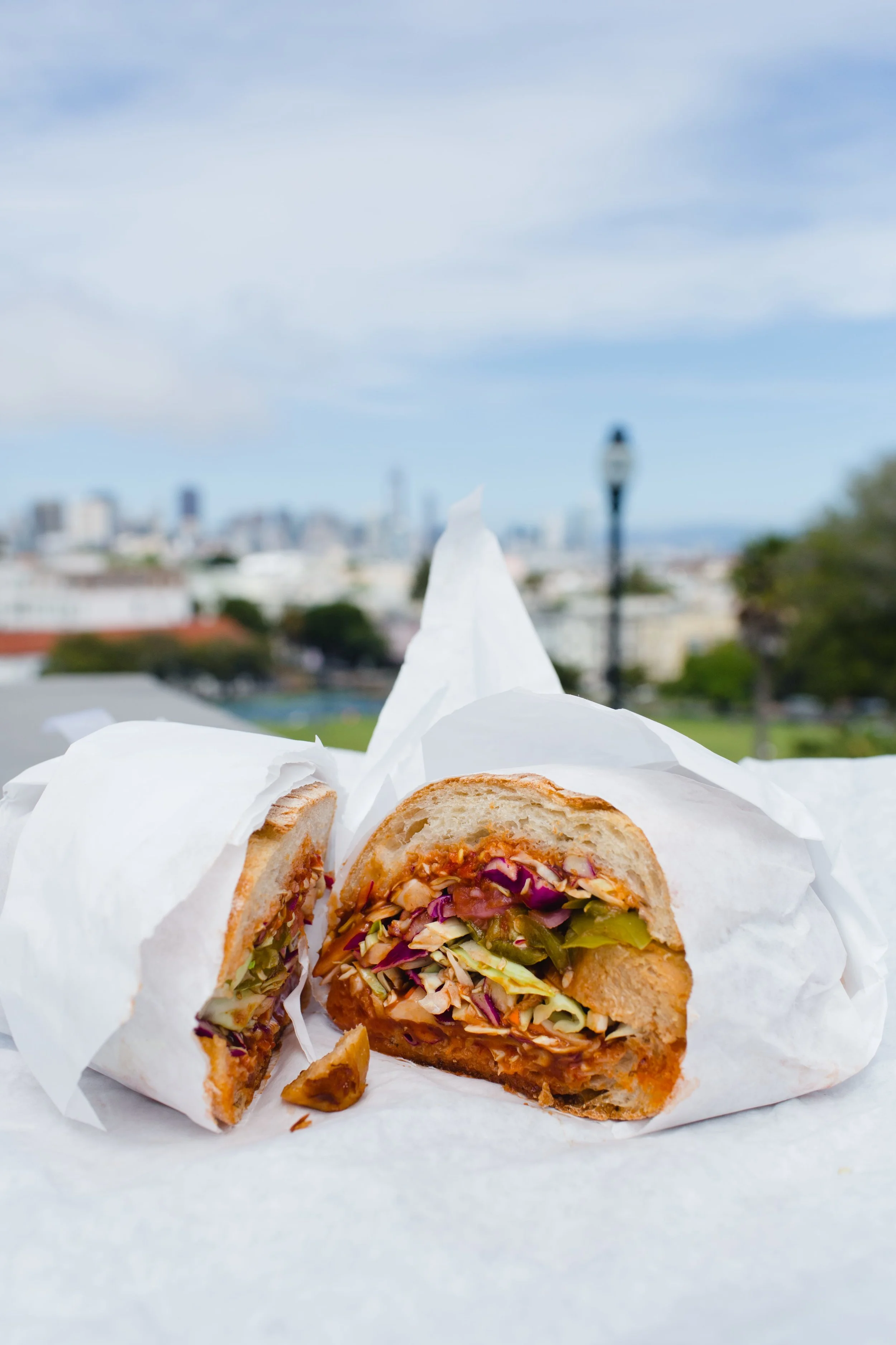 Spring_Morris_Photography_Travel_San_Francisco-1-21.jpg