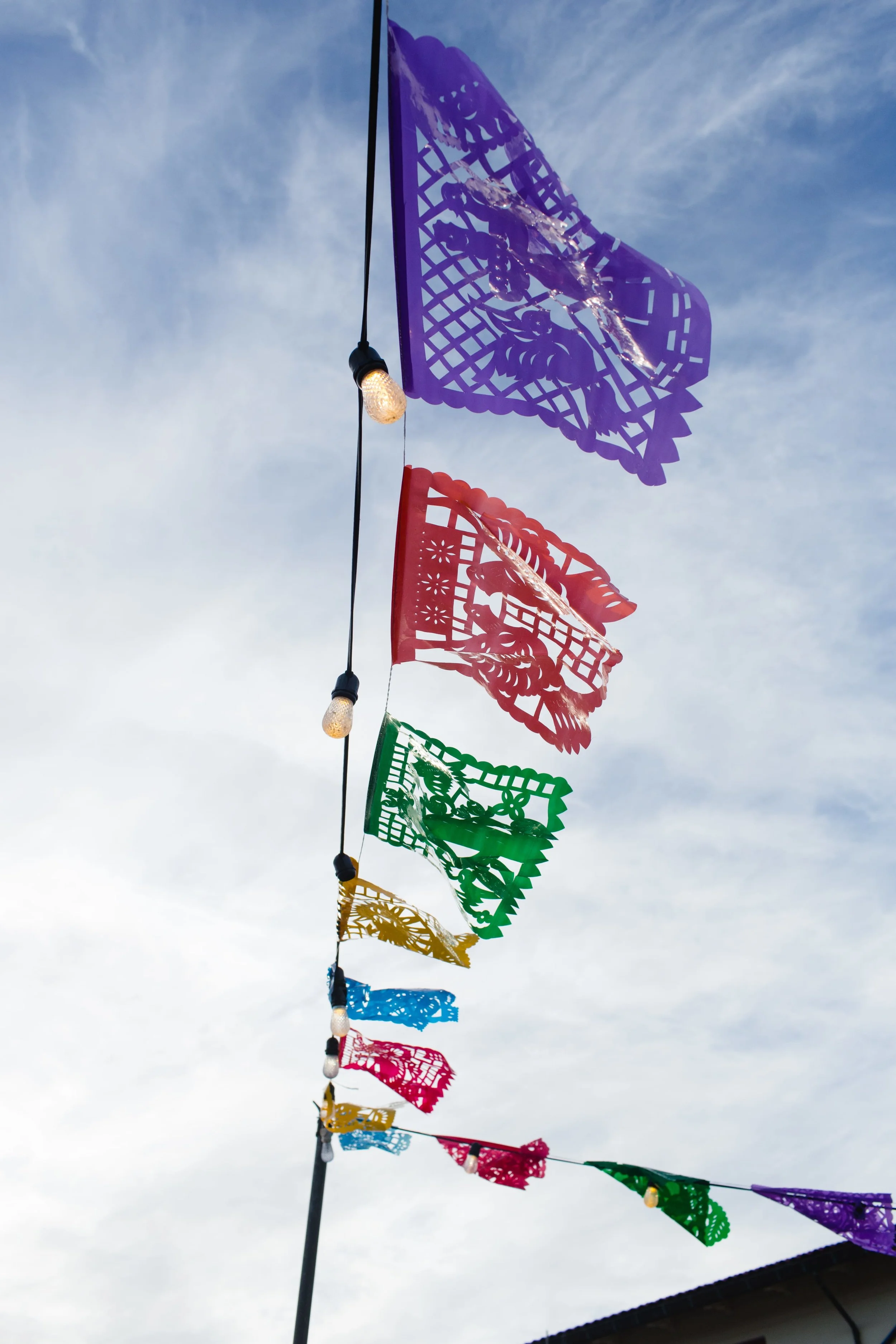 Spring_Morris_Photography_Travel_San_Francisco-1-18.jpg