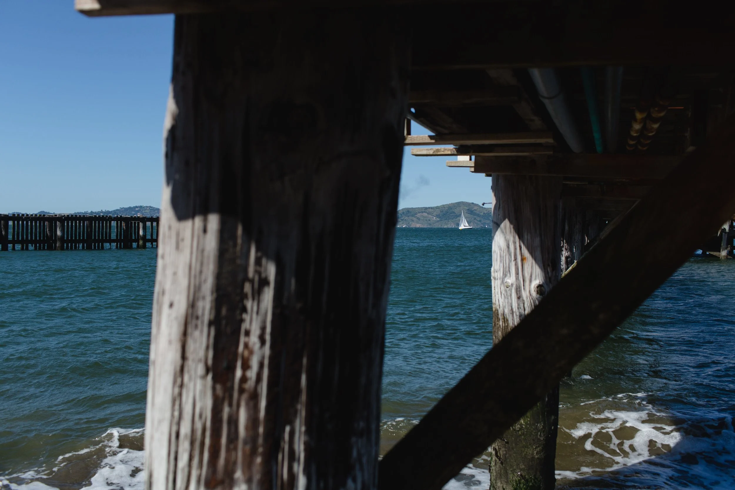 Spring_Morris_Photography_Travel_San_Francisco-1-33.jpg