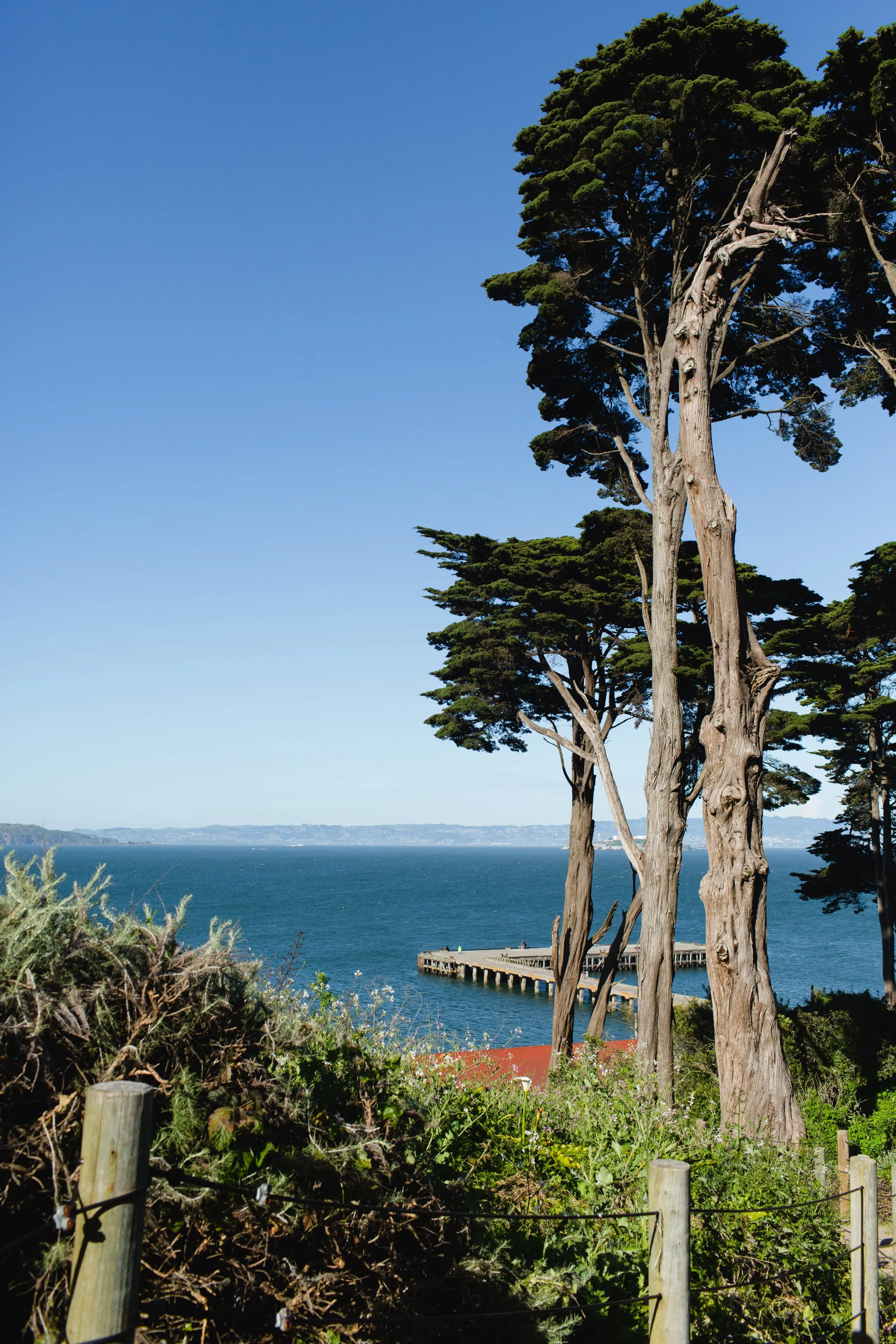 Spring_Morris_Photography_Travel_San_Francisco-1-34.jpg