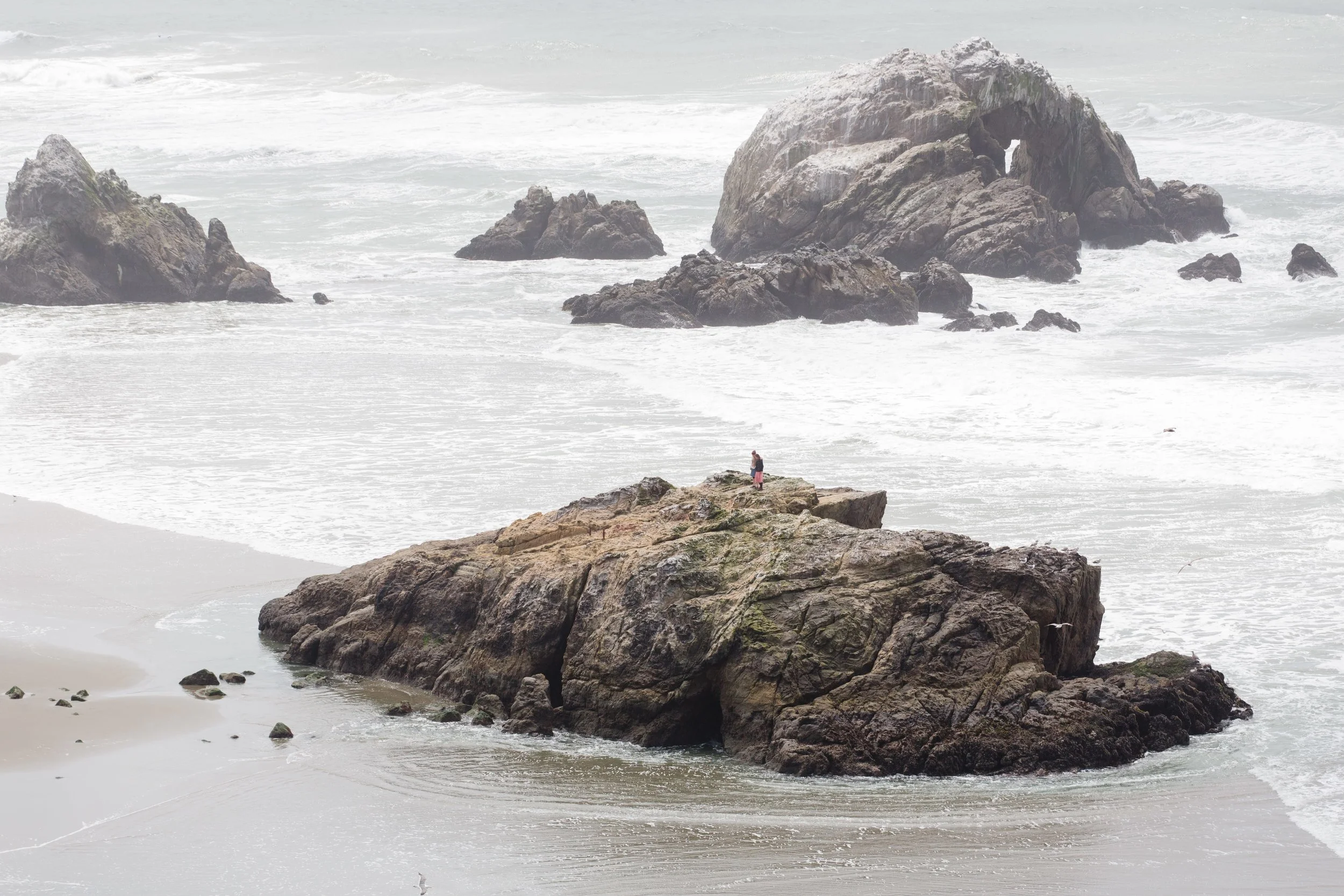 Spring_Morris_Photography_Travel_San_Francisco-1-38.jpg