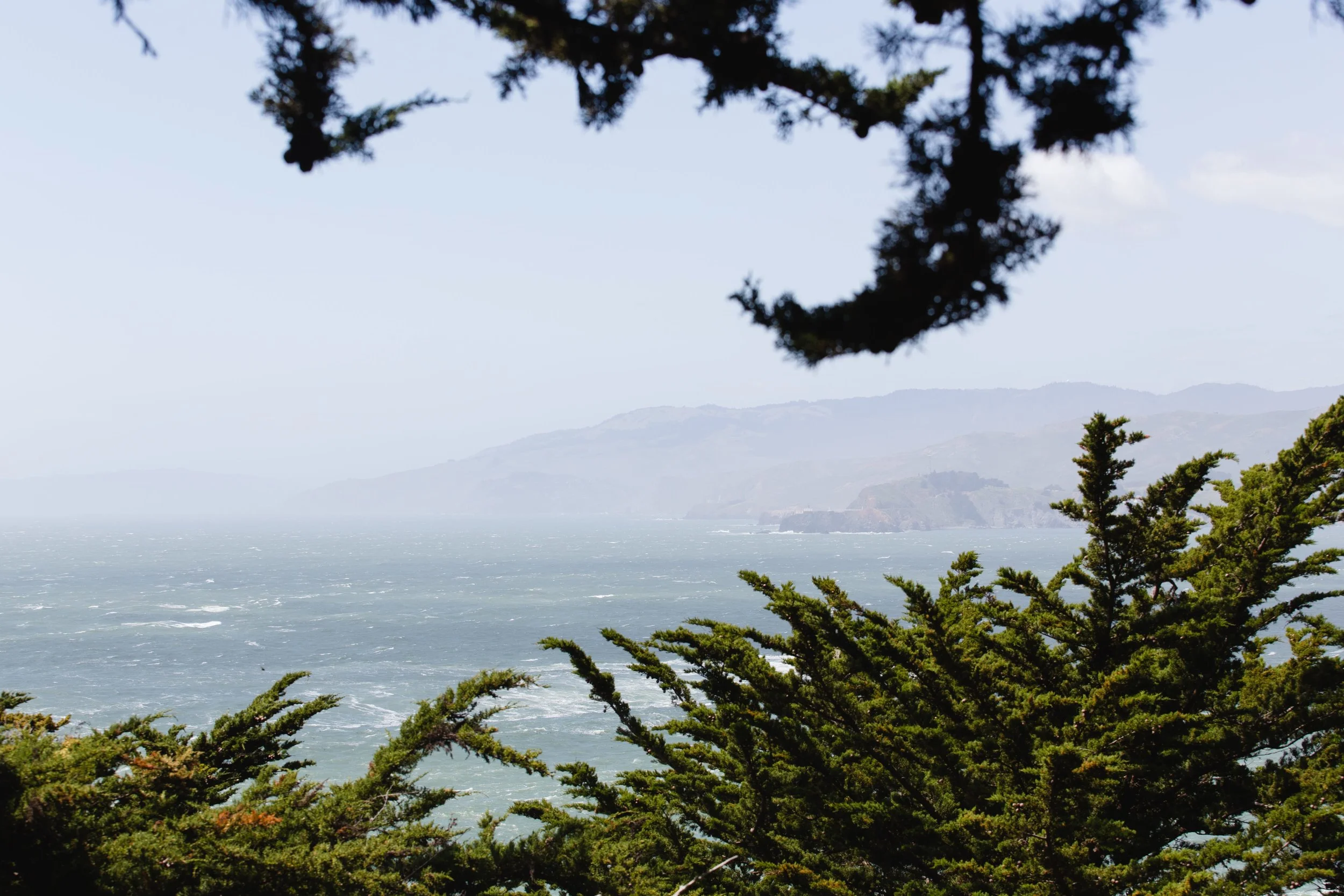 Spring_Morris_Photography_Travel_San_Francisco-1-40.jpg