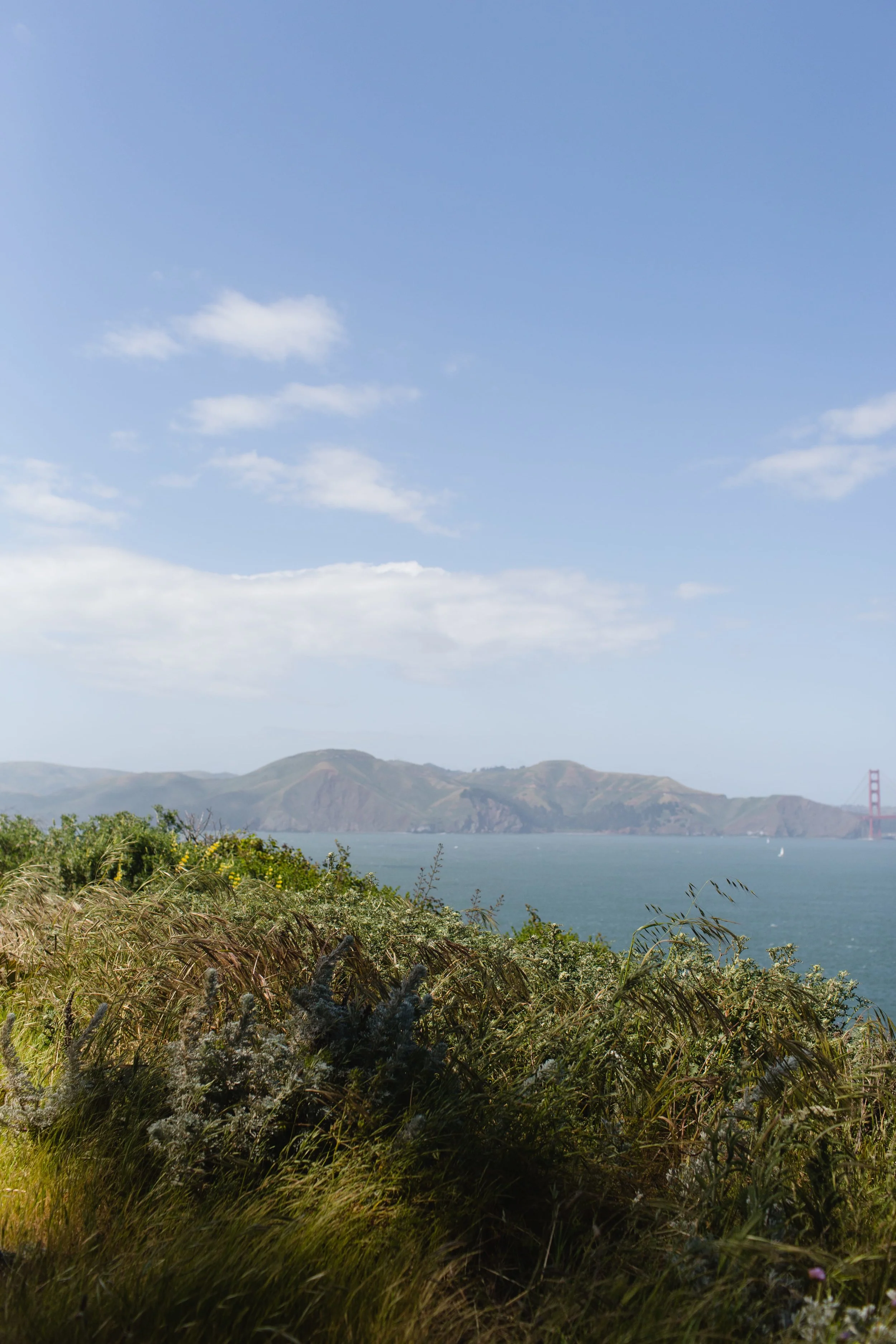 Spring_Morris_Photography_Travel_San_Francisco-1-45.jpg