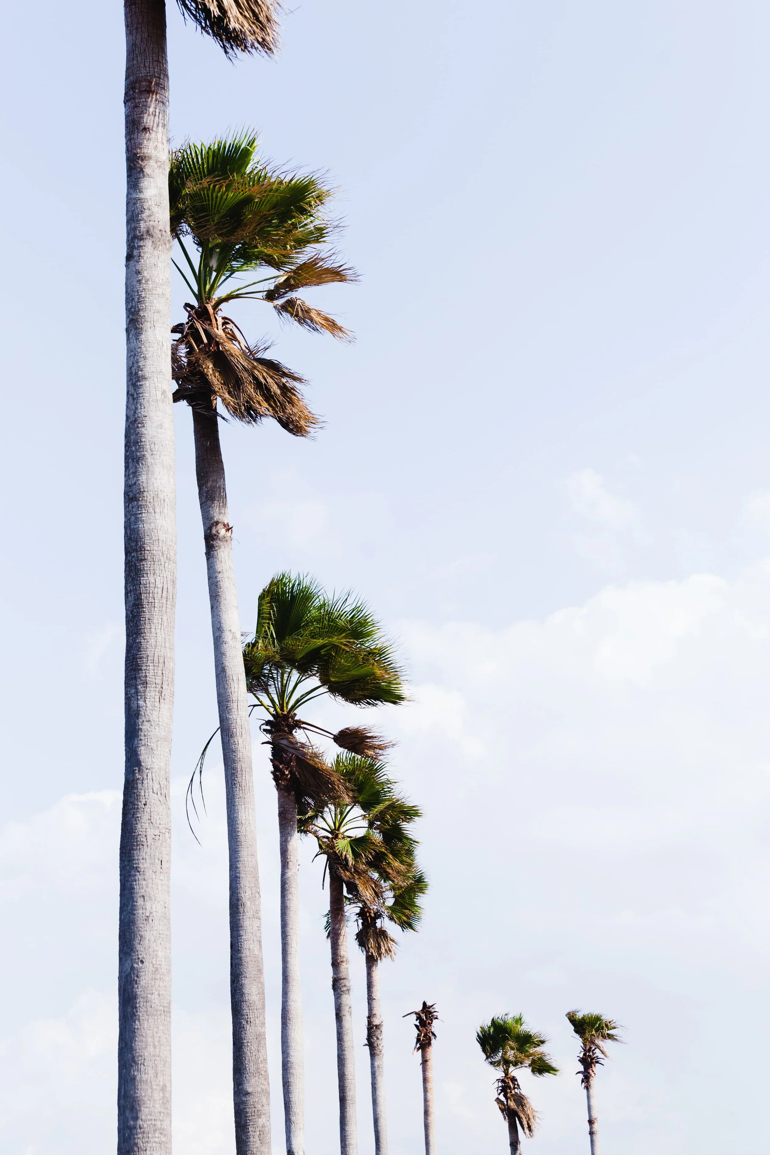 SpringMorrisPhotography_Travel_Havana_Cuba-1.jpg