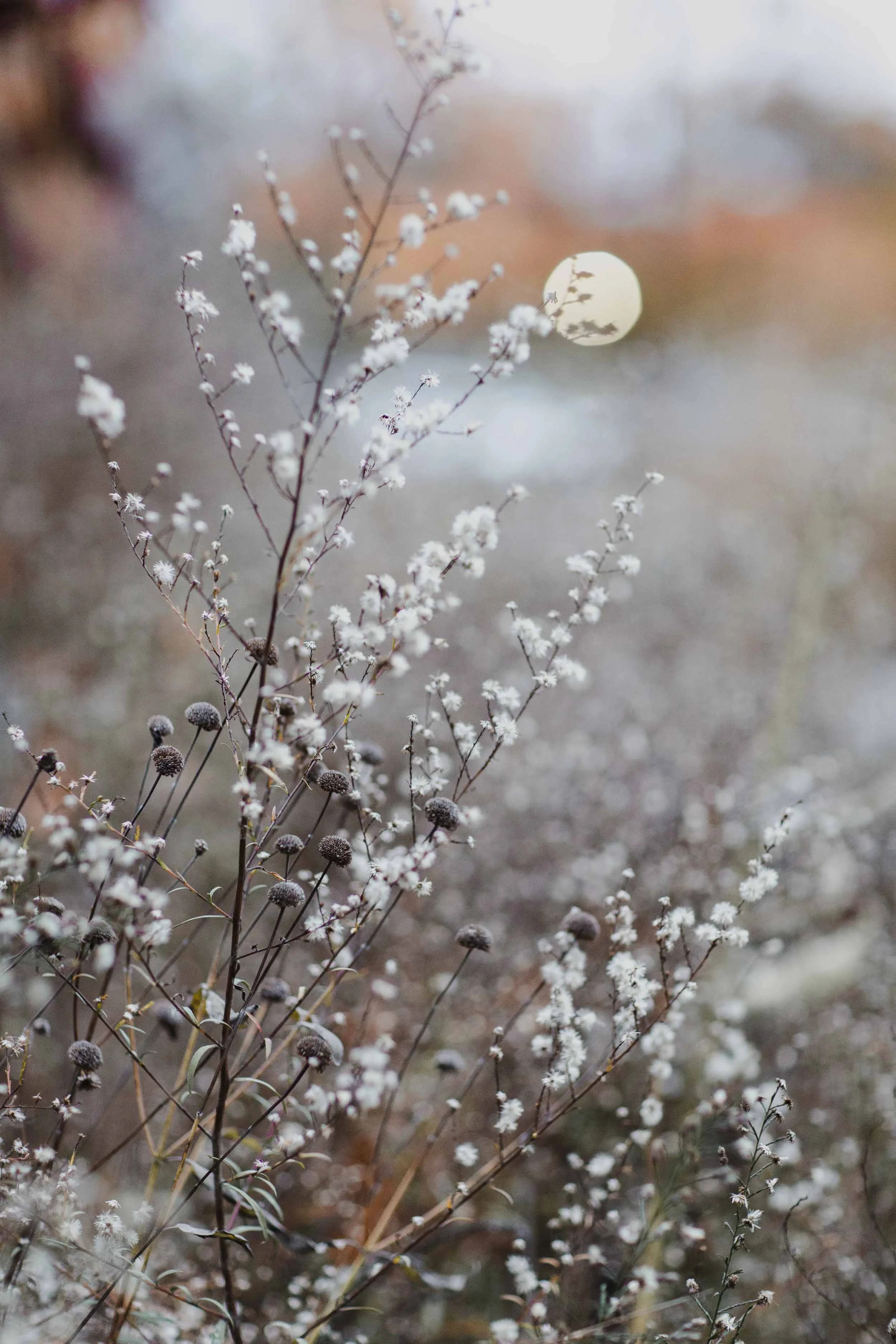 Spring_Morris_Photo_Travel_Photography-1-6.jpg