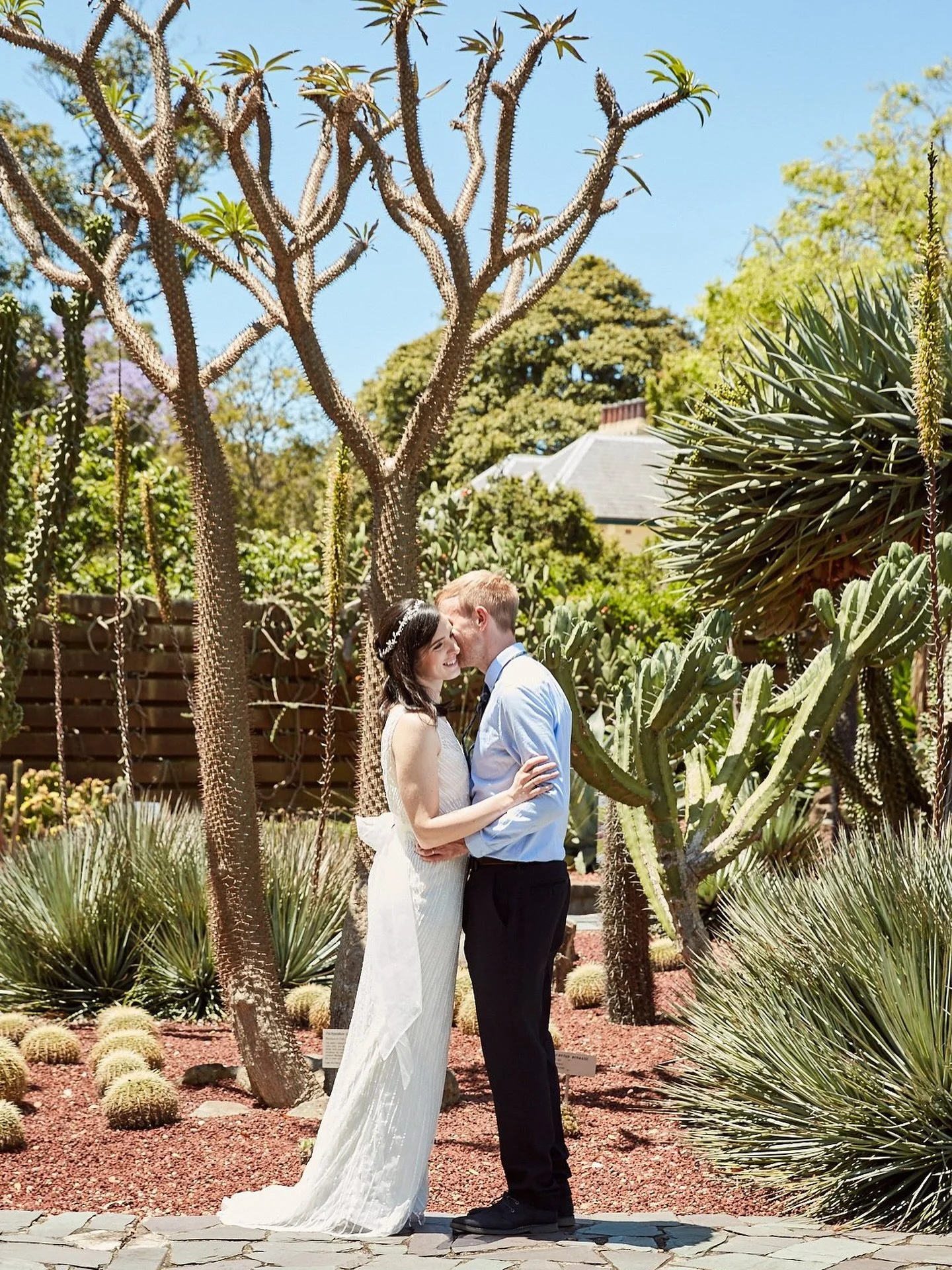 Em &amp; Dan in the cactus garden 🌵

Such a joy to capture this lovely couples intimate ceremony in the Royal Botanic Gardens, we had fun roaming the gardens with so many beautiful locations to capture their love story 🤍

#capturinglove #weddingpho