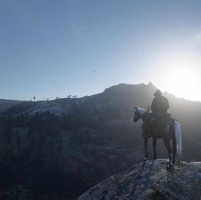 Hyped for Red Dead Redemption 2 on PC later this year.
#reddeadredemption2 #rockstargames #pcgaming
