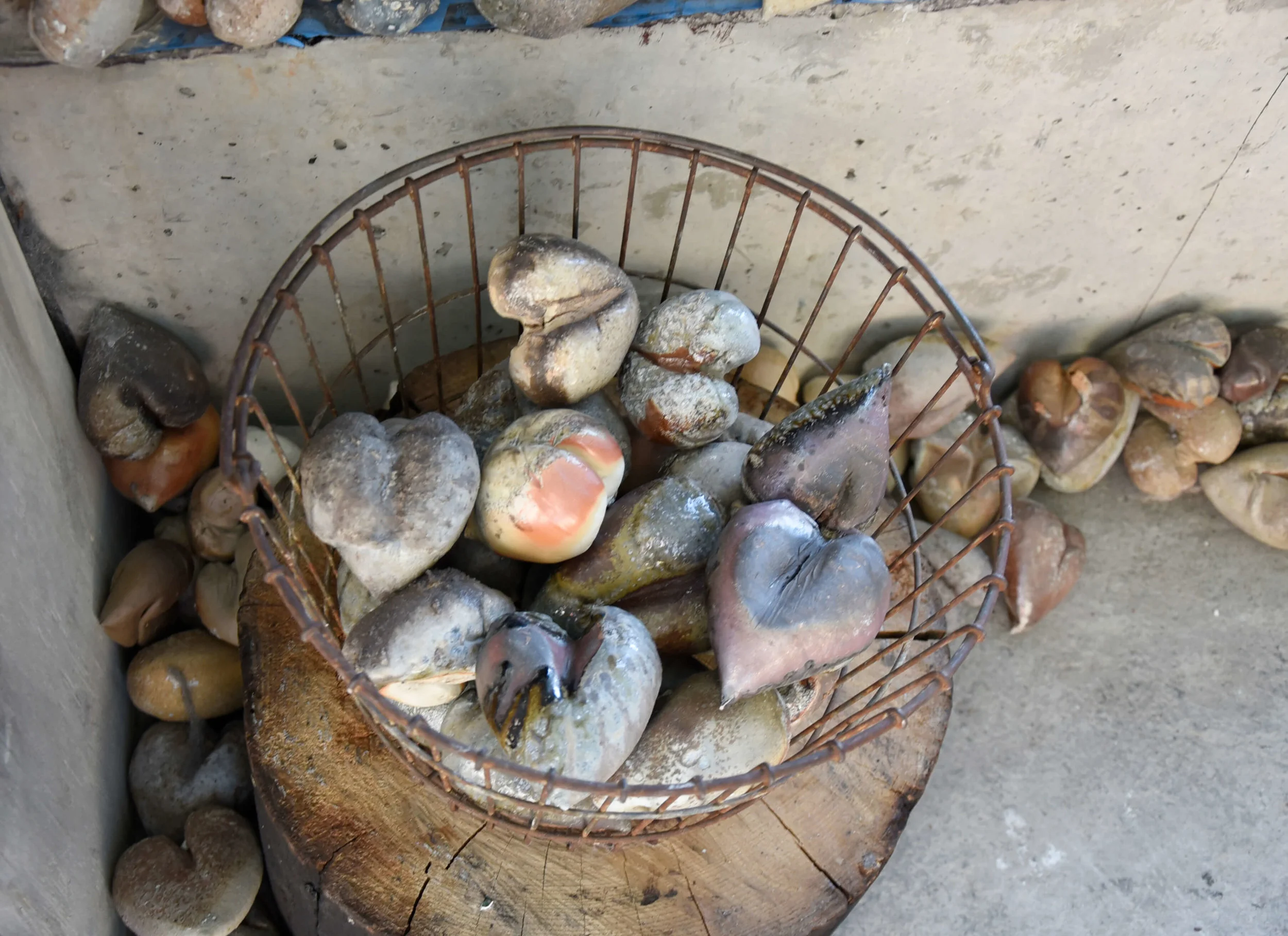 ‘Contrived Harvest’ by Alyce Barr. Photo: Amy Lee Studios Article by Craig Hubert