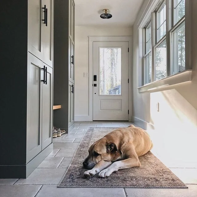 If I&rsquo;m ever looking for Cliff the first place I check is the mudroom.. I hope he approves of the #rennavation 😉
