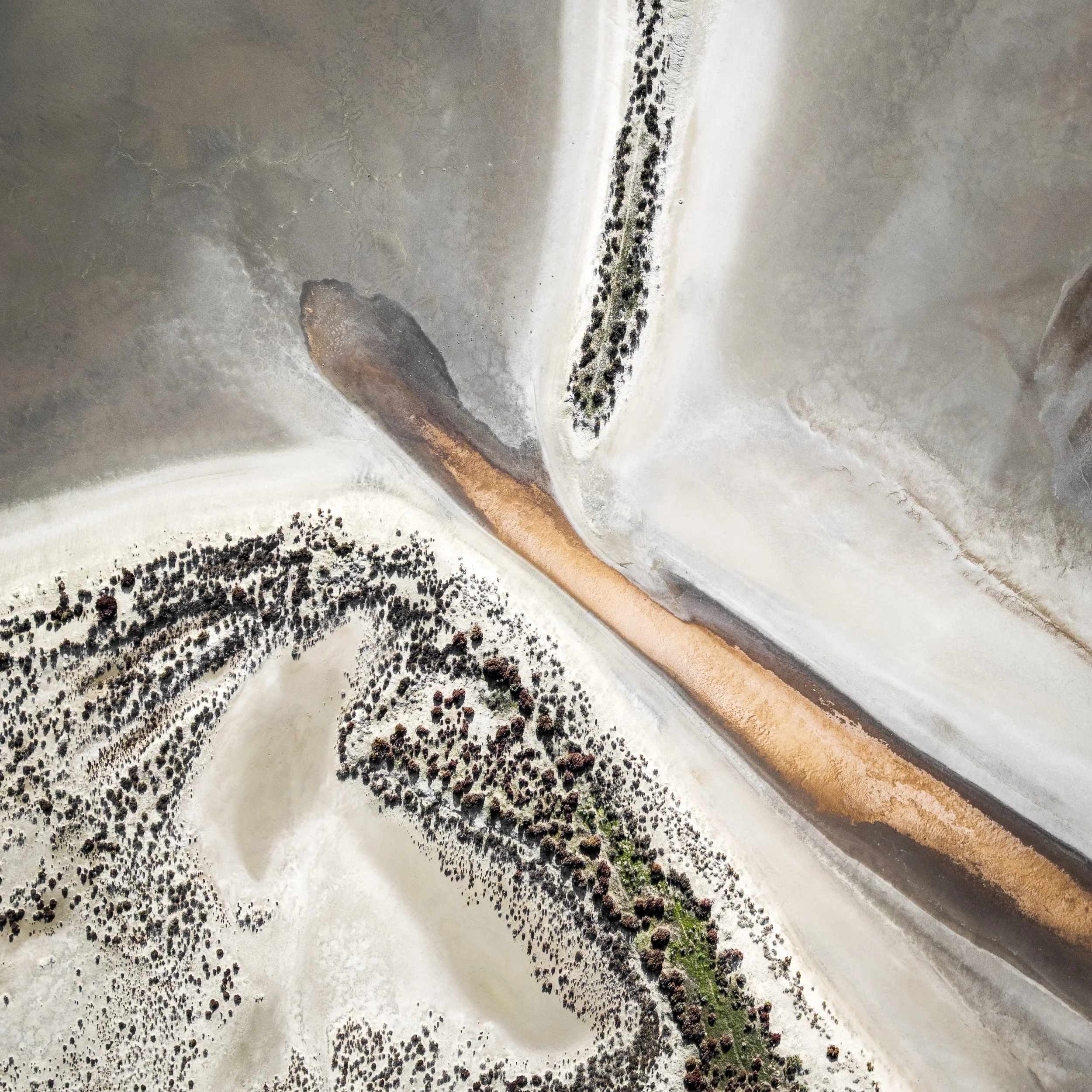 DJI_0990-Edit.jpg