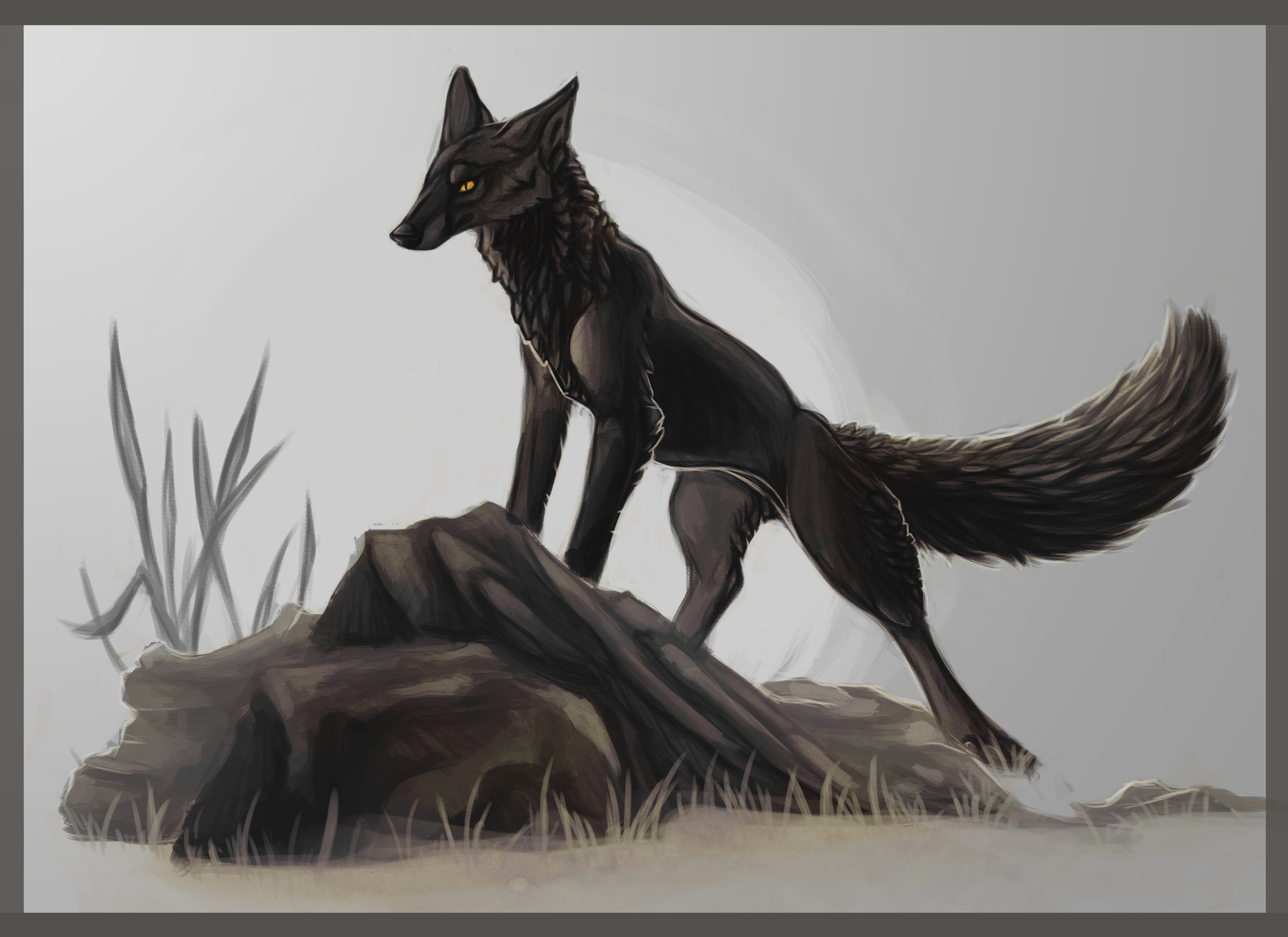 mind fox.jpg