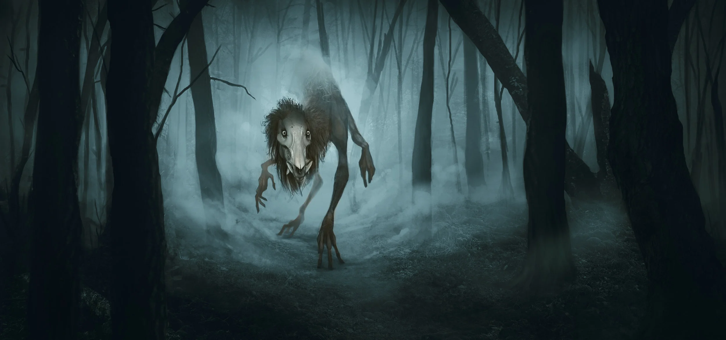 forest.jpg