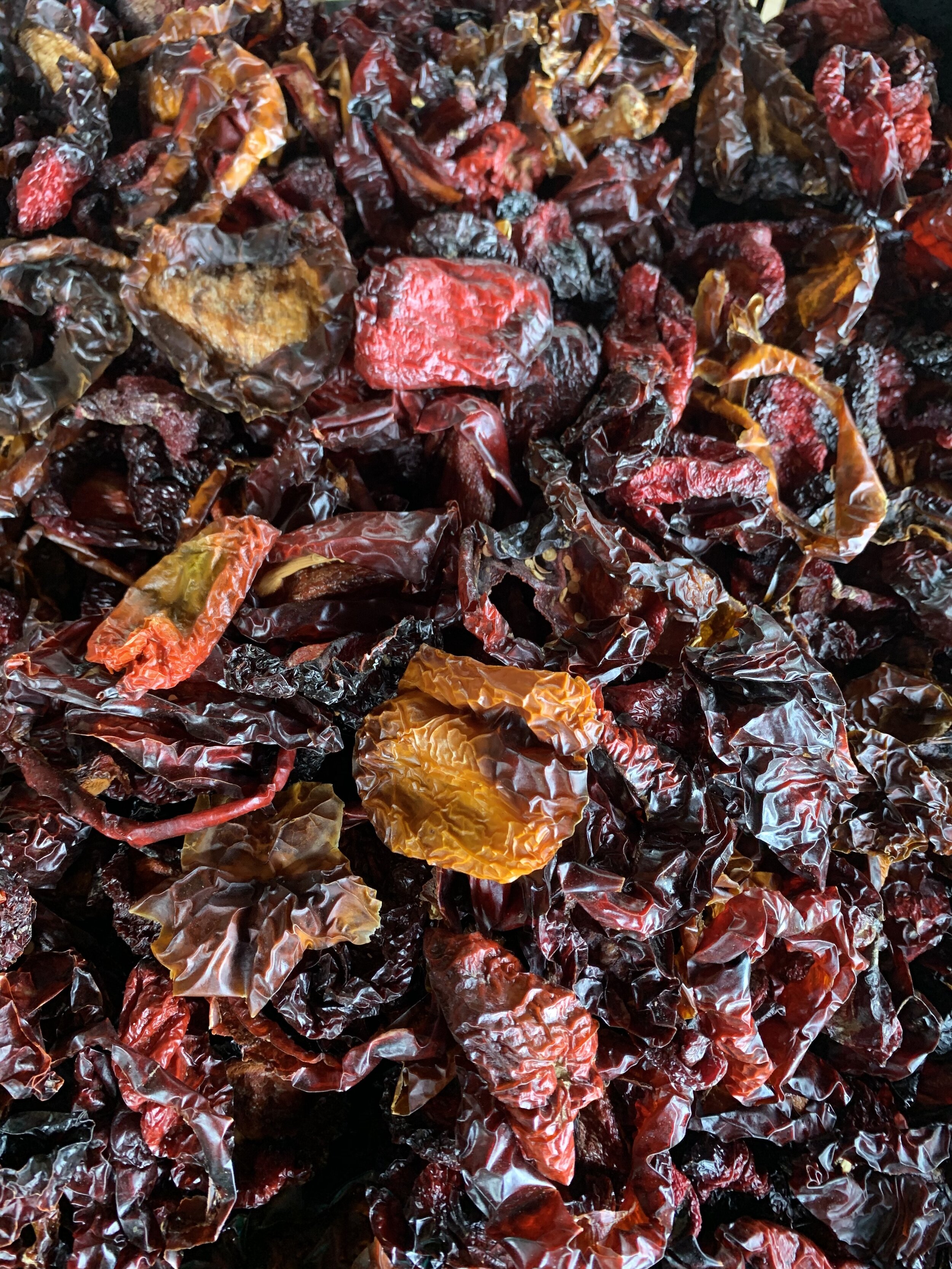 SunDried Coloured Capsicum .jpg