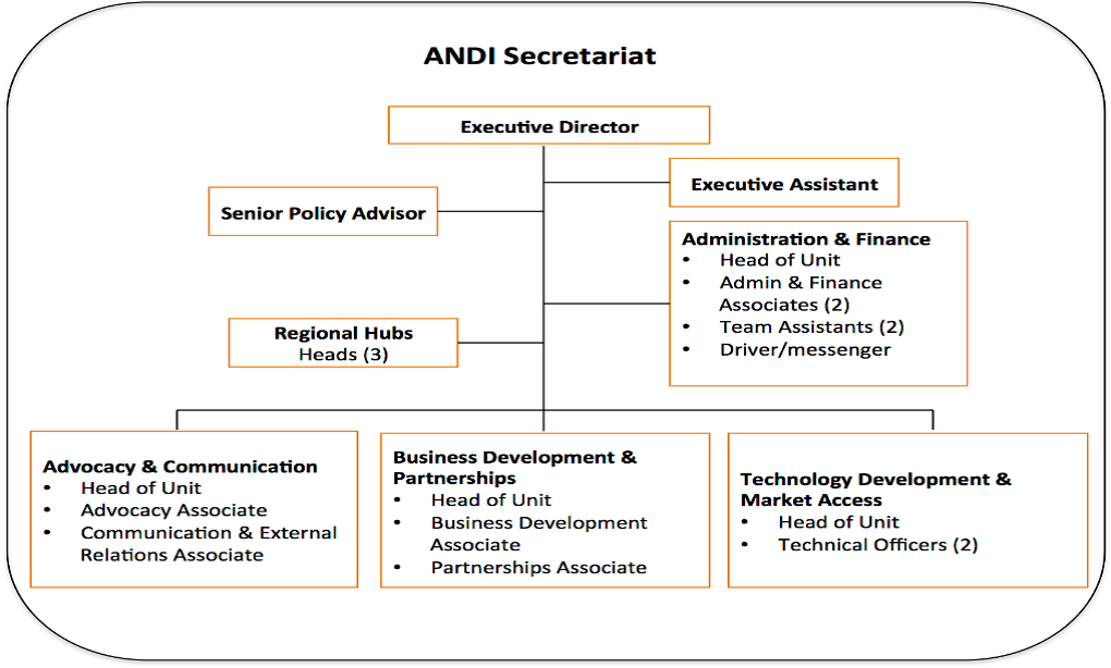 Figure VI: ANDI Secretariat Organogram. Note the lean and relatively flat structure of the ANDI Secretariat.