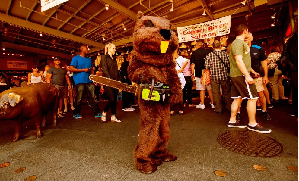Just a Beaver at the Market.jpg