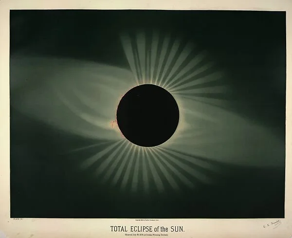 Beyond Reality: The Mesmerizing World of The Museum of Jurassic Technology