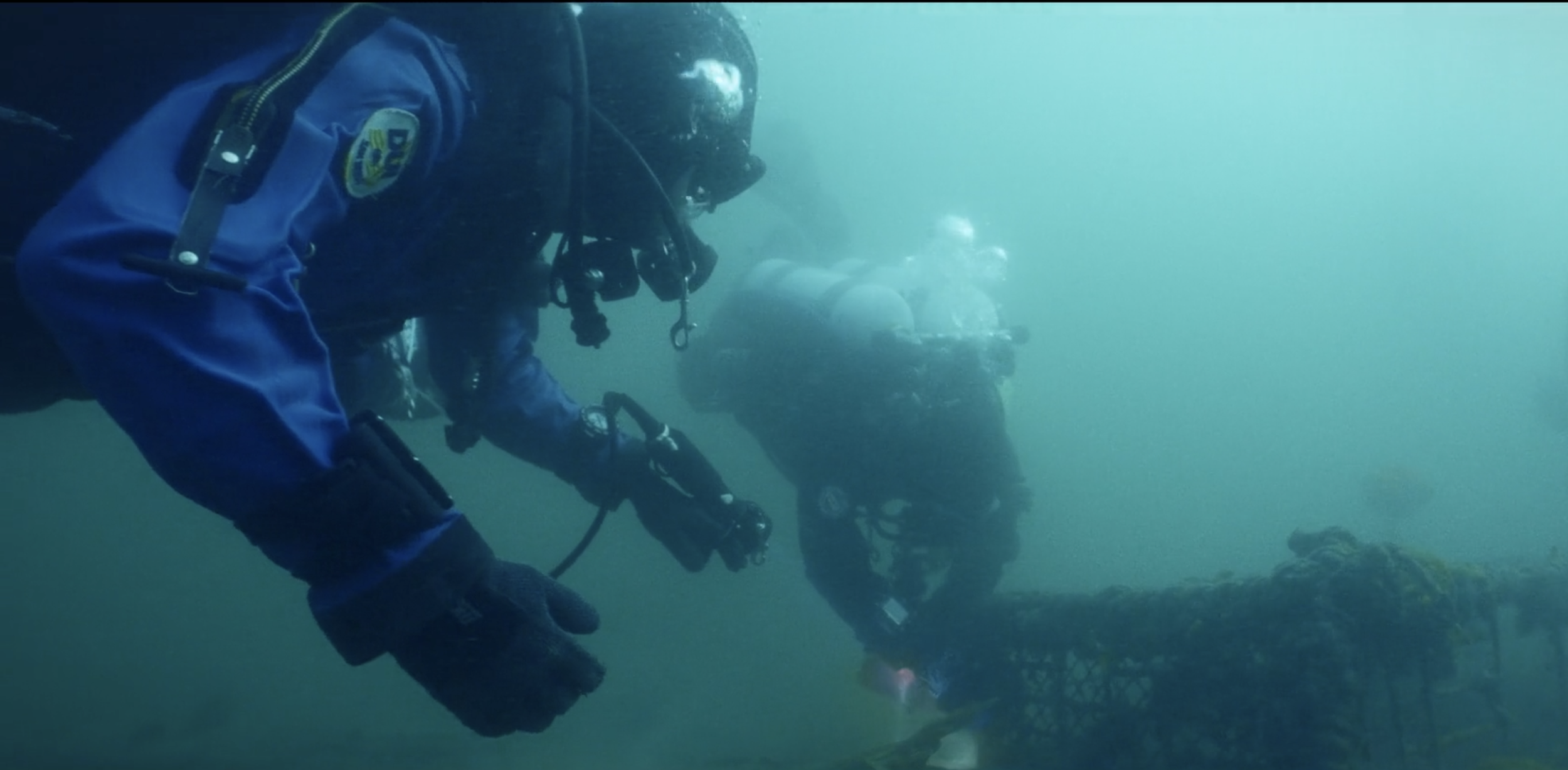 Samsung - Diving For Ghosts