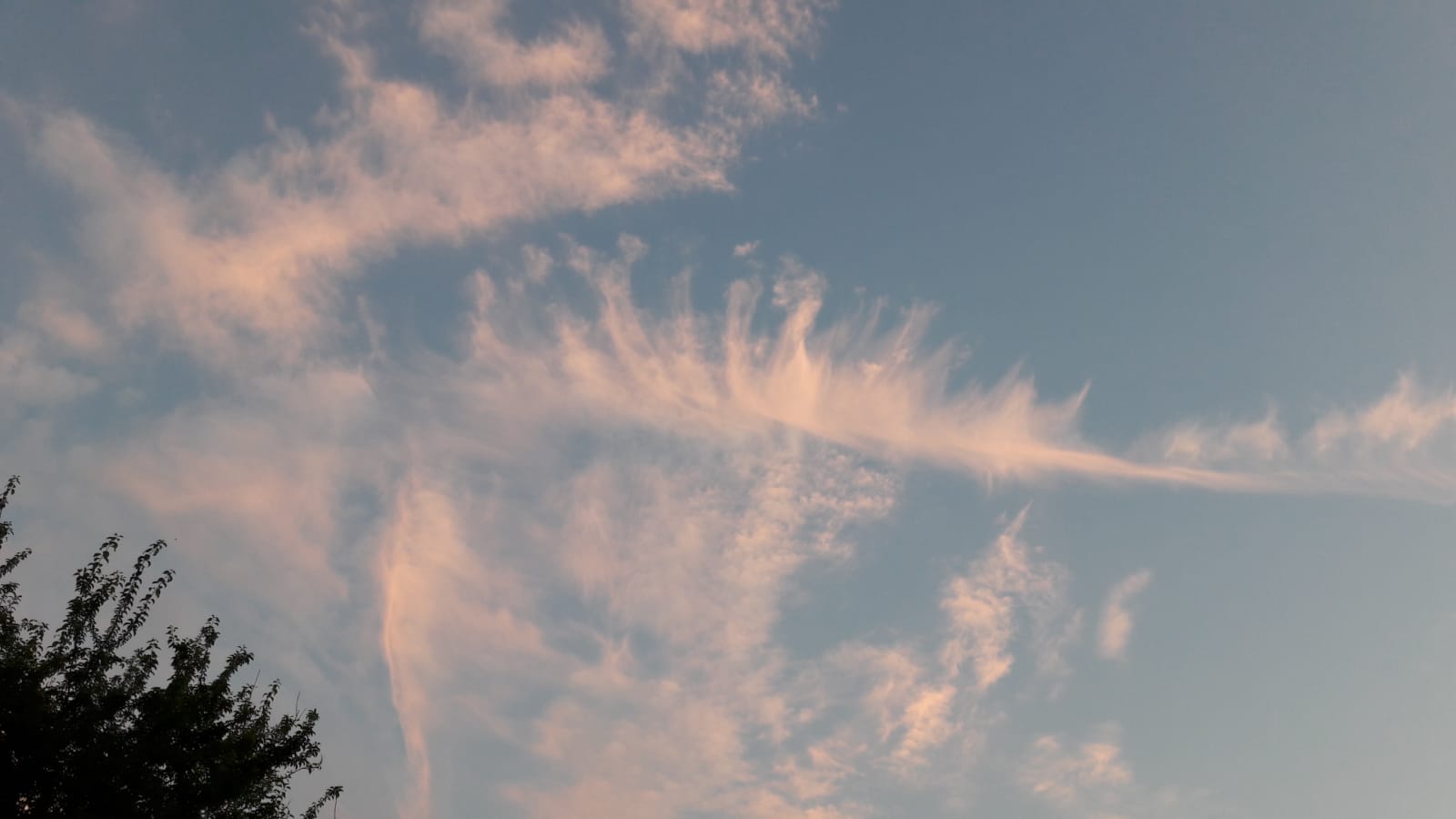 IMG-20180707-WA0002.jpg