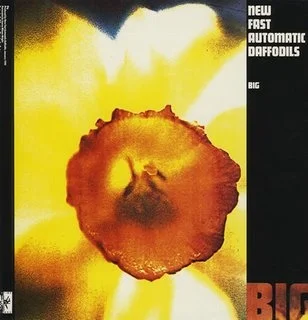 big.jpg