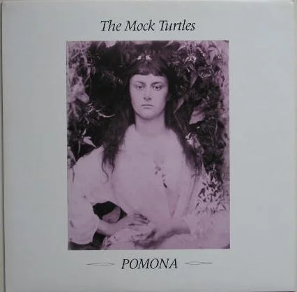 turtles_pomona.jpg