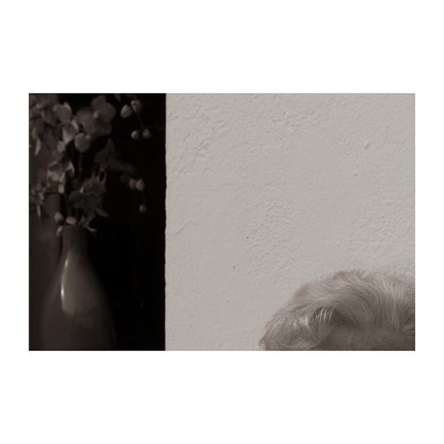 I always loved being here 
Serial about my mother diagnosed dementia
.
.
.
. .
.
#dementie #vasculairedementie #fantasie #collage #photocollage #phantasy #illness #funny #family #mother #loss #sad #mantelzorger #memorie #daughter #mum #couple #old #h