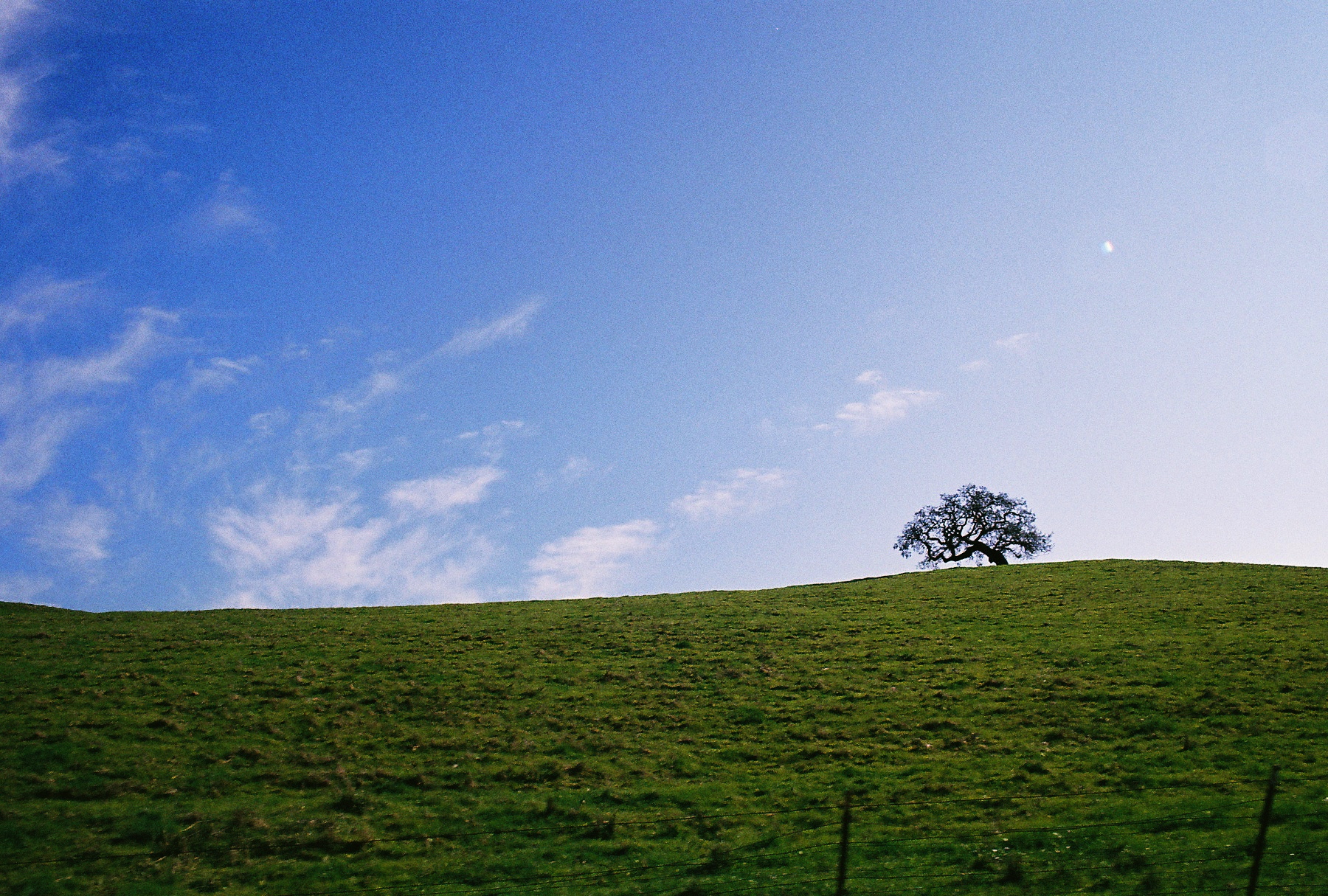 Yountville, California