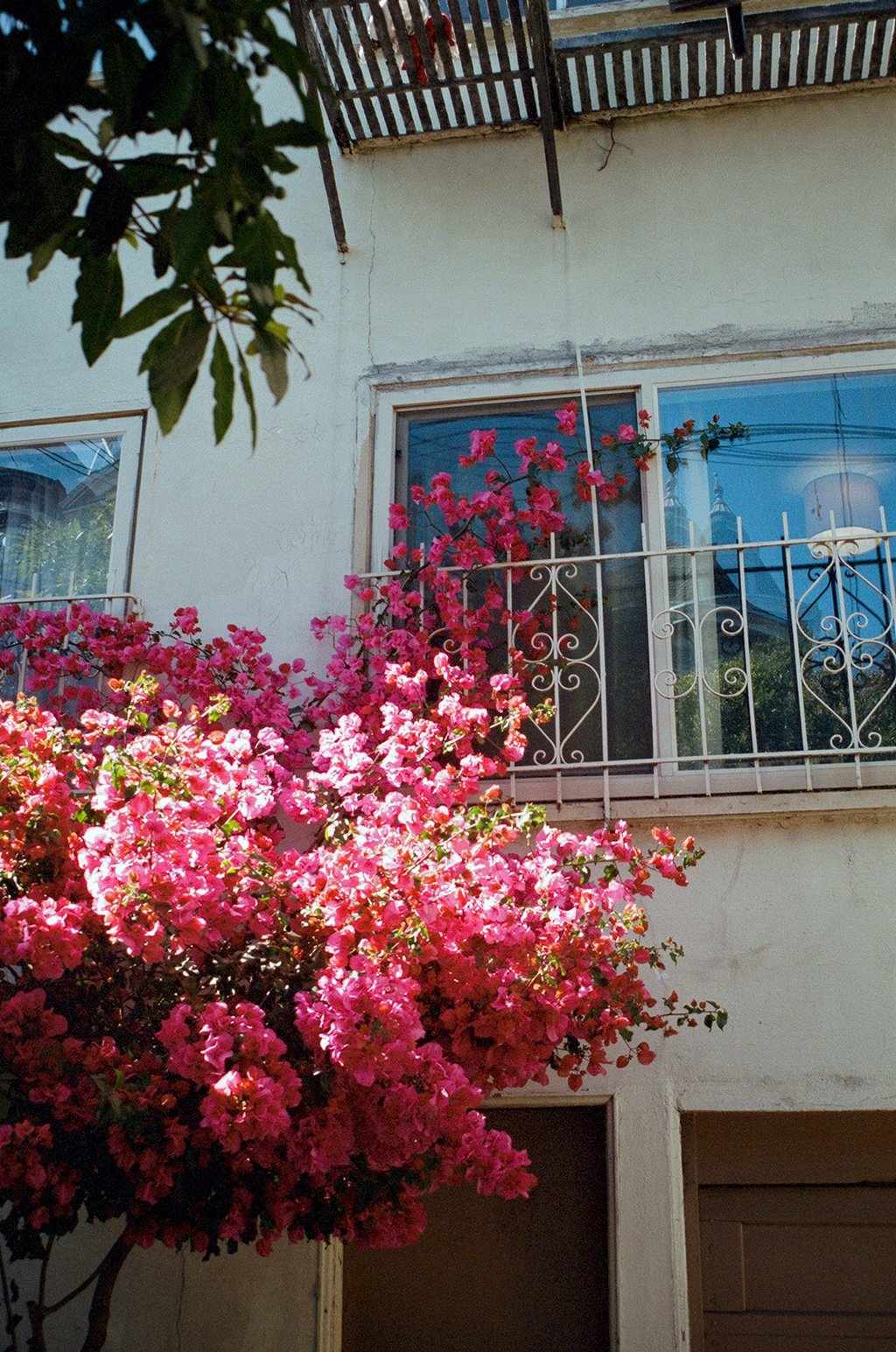 000008930036 copy.jpg