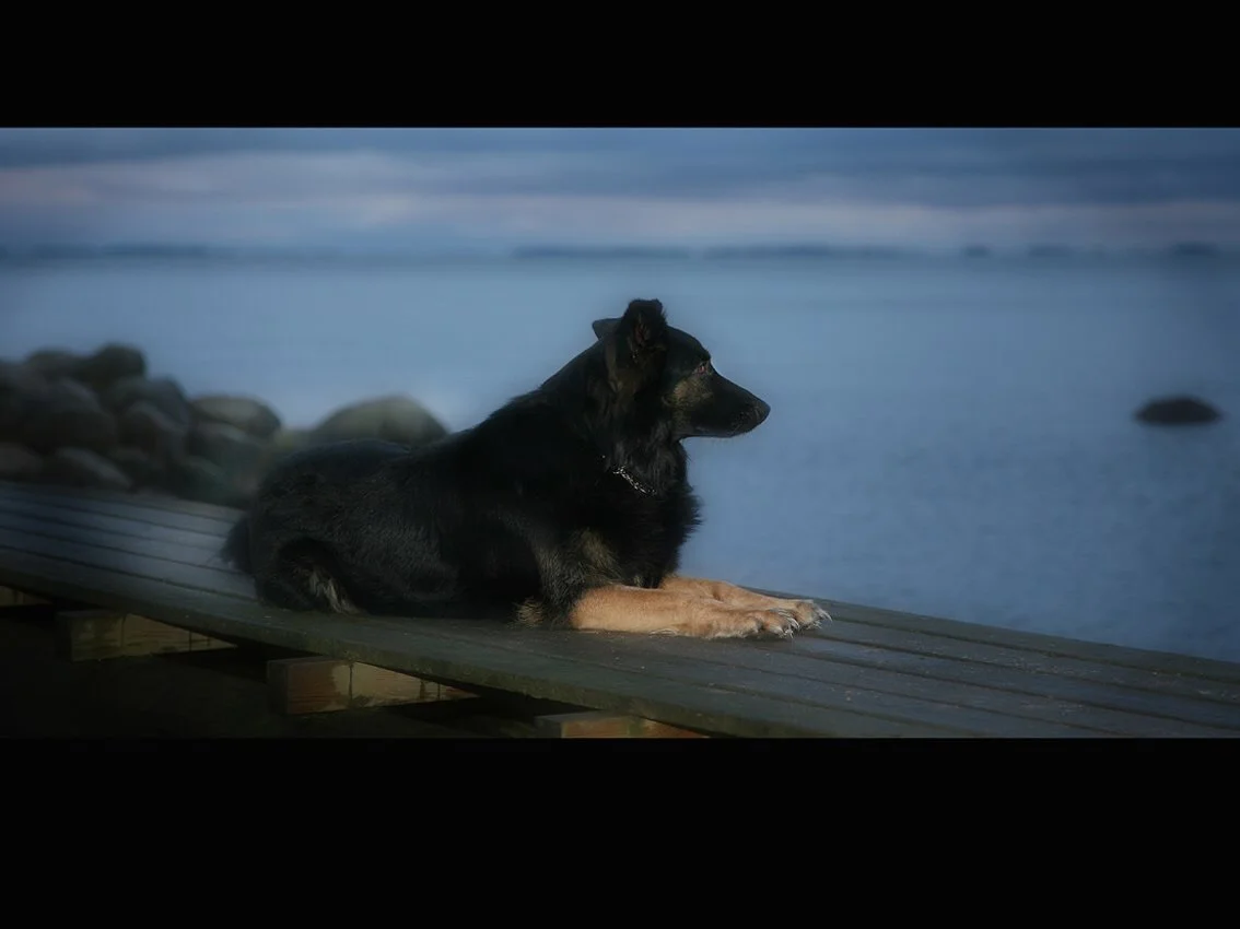 Magsjuka och SM brons 😉