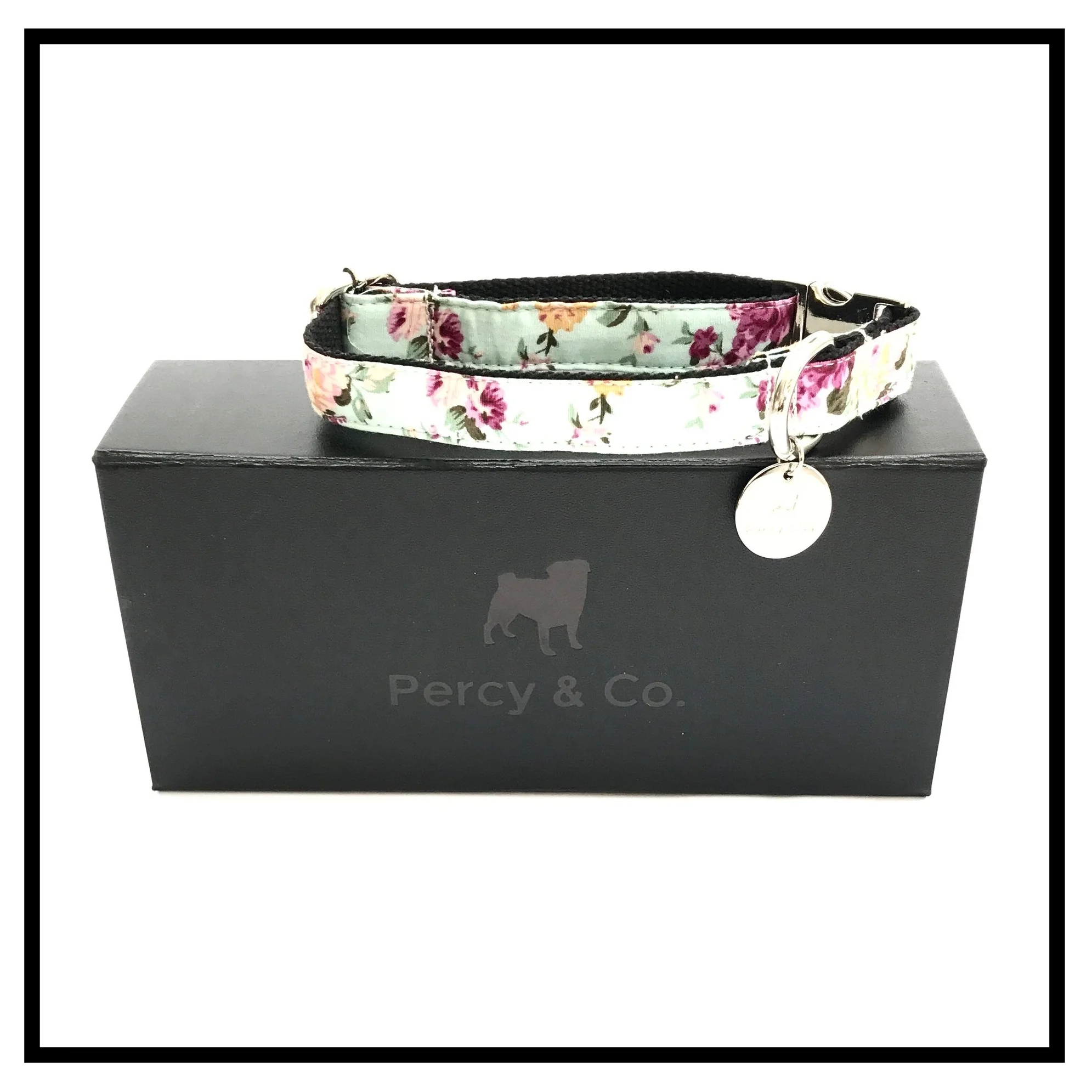 Percy and Co The Barnes Dog Collar On Box