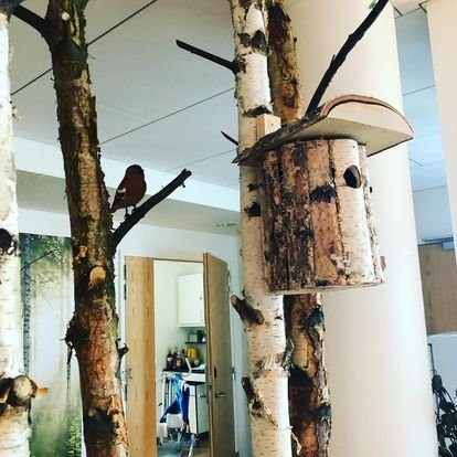 “Operation Hjemlighed” 

Indretning af fællesrum på dement plejehjem på Fredensberg - tværfaglige samarbejde “Operation Hjemlighed” mellem Københavns Professionshøjskole (v. Lise Justesen), plejeboligerne Kastanjehaven på Frederiksberg og Sundhedssty