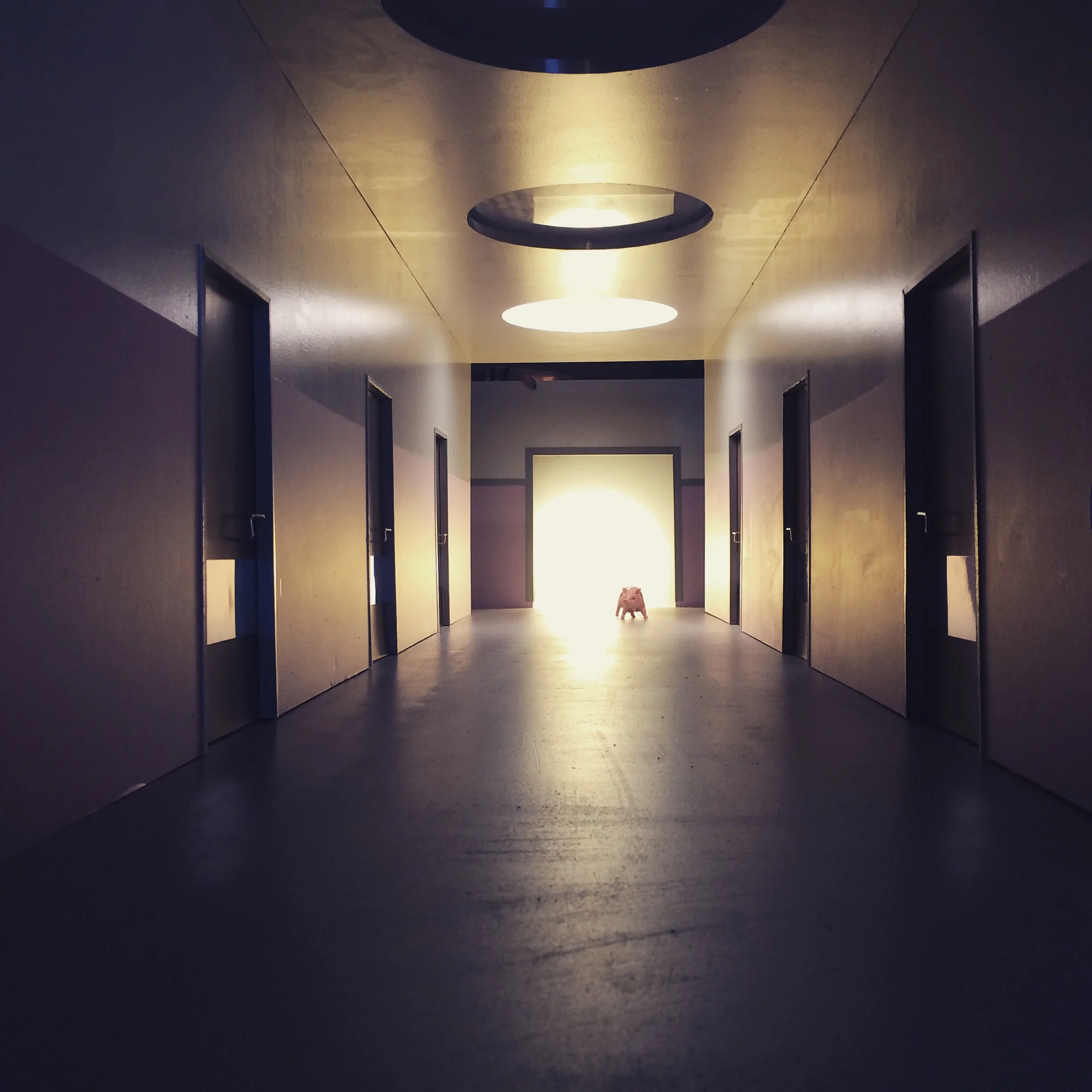 Indretningsdesigner og scenograf med antropologisk tilgang - jeg har igennem mere end 20 år arbejdet med at designe rum til film, TV, institutioner og private boliger samt med antropologiske studier, hvor jeg undersøger identitet, tilhørsforhold og h