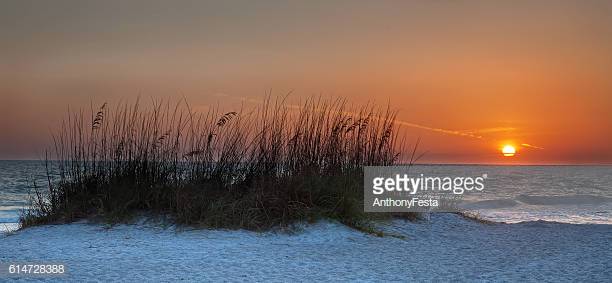 Photo by AnthonyFesta/iStock / Getty Images