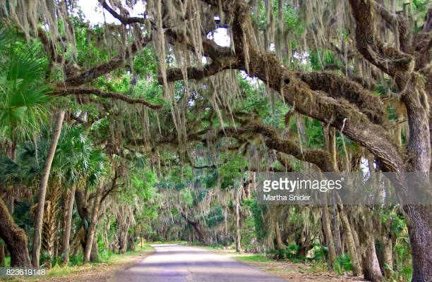 Photo by Martha Snider/iStock / Getty Images