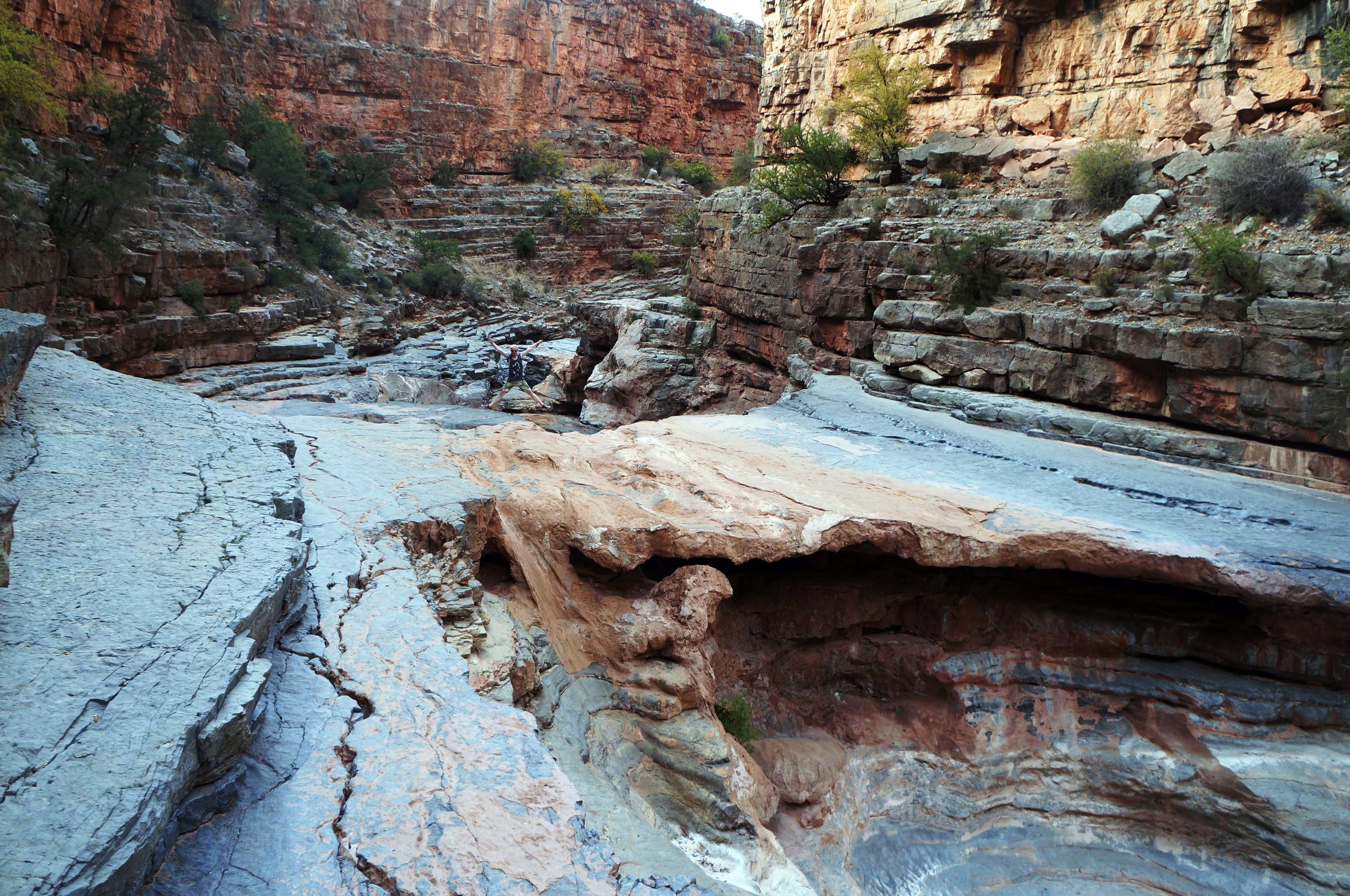 DSC08595 copy.jpg