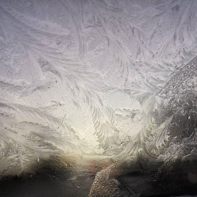 โ๏ธFrosty morning โ๏ธ
#timetodigthethermalsout #coldhandswarmheart #equinephysio #cumbria