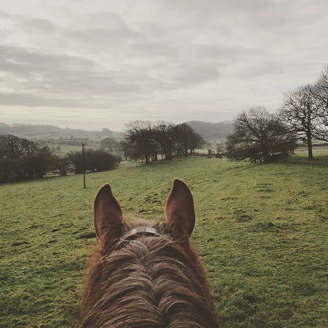 💚Pony therapy💚 #perfectsunday #downtime #horsetherapy