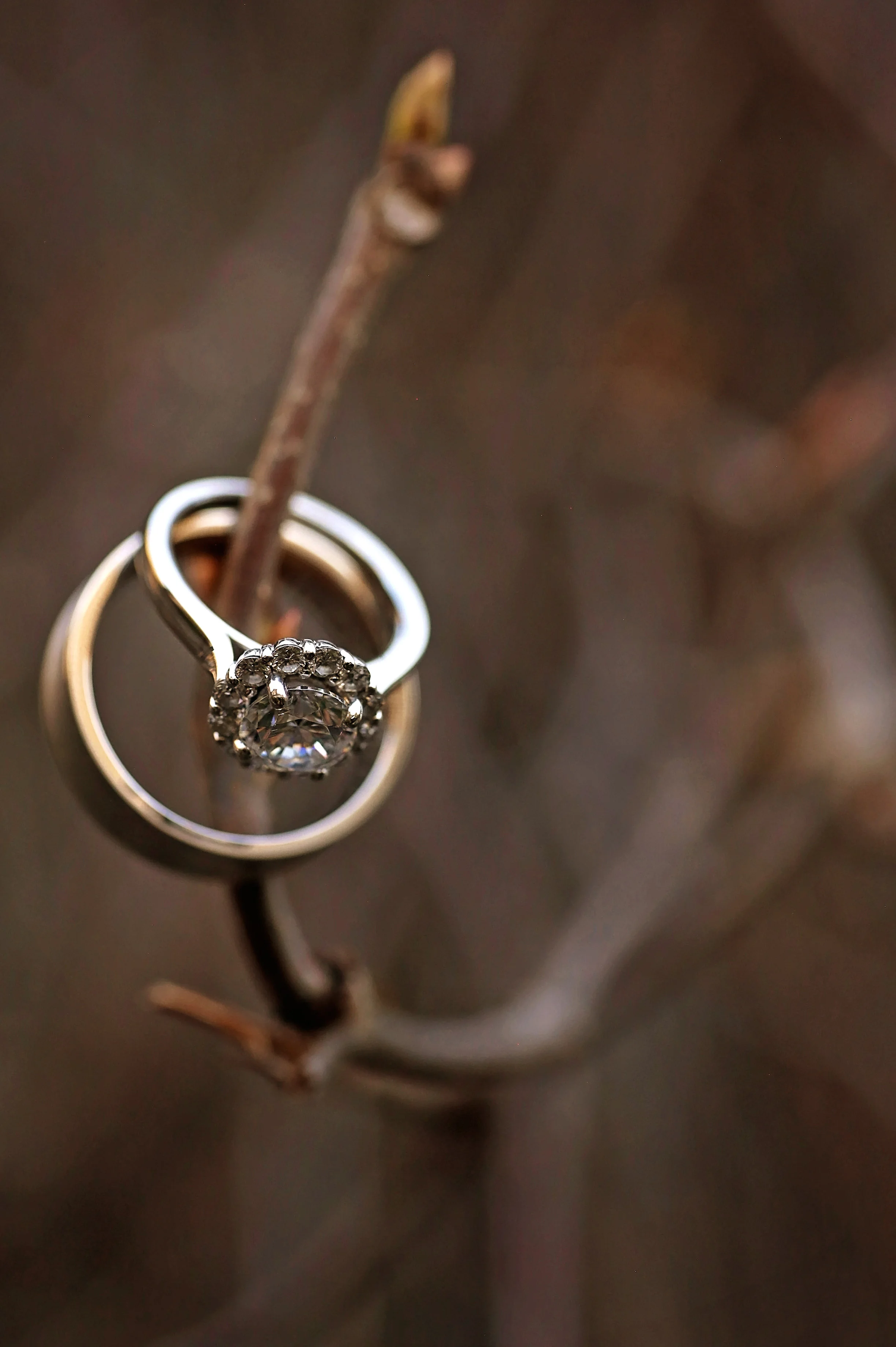 Ring 1.JPG