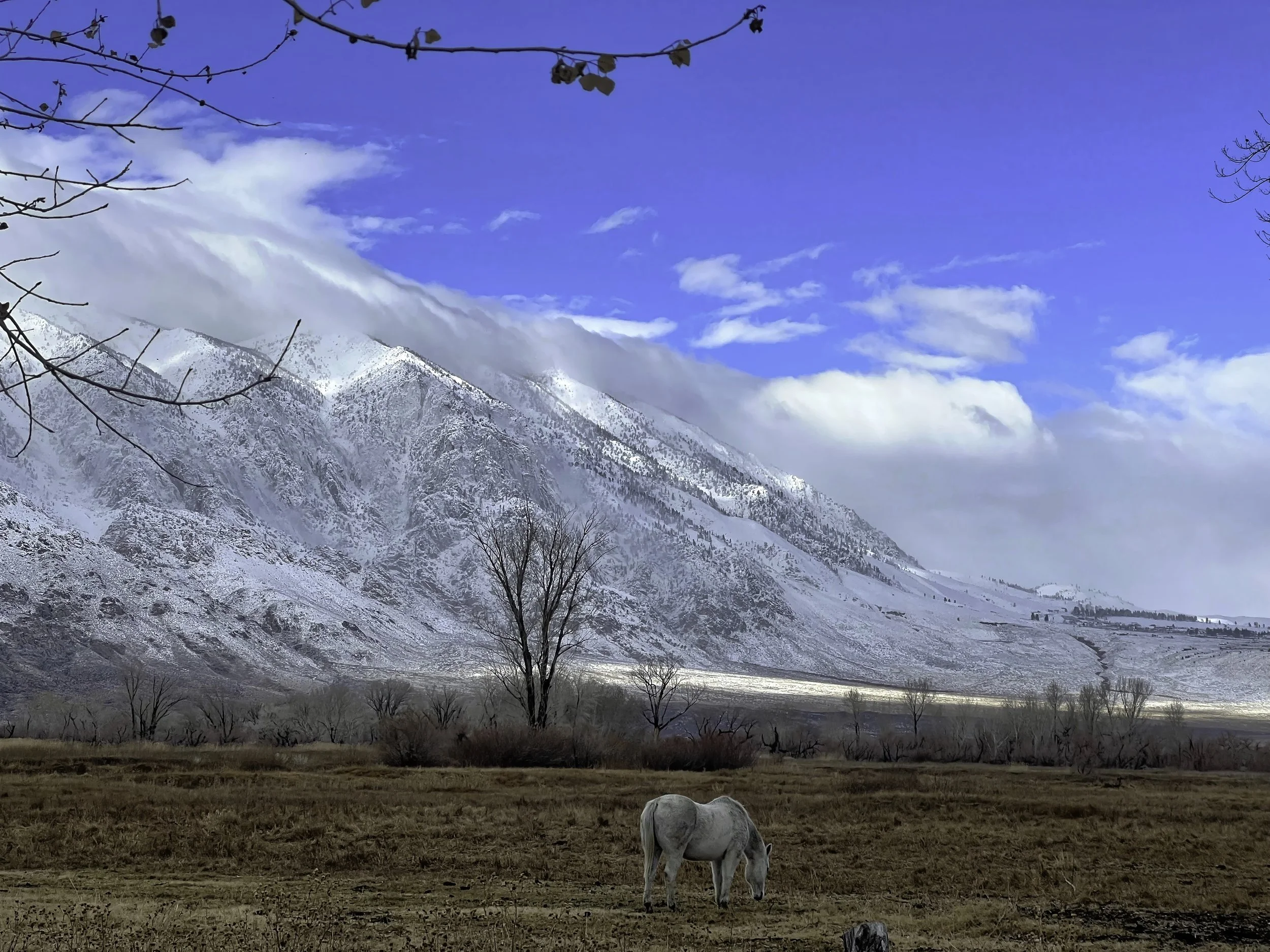 White Horse_InPixio.jpg